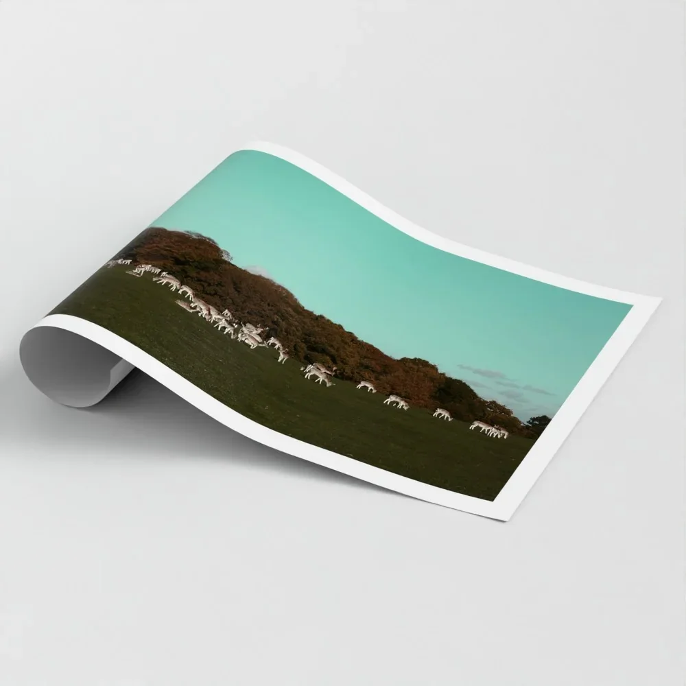 Herd of Deer Fine Art Photography | British Countryside，Serene Landscape Wall Art