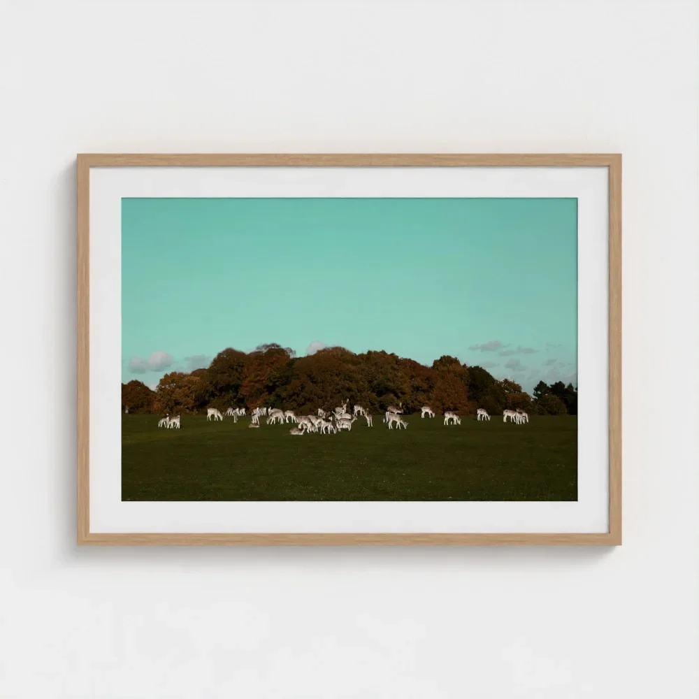 Herd of Deer Fine Art Photography | British Countryside，Serene Landscape Wall Art