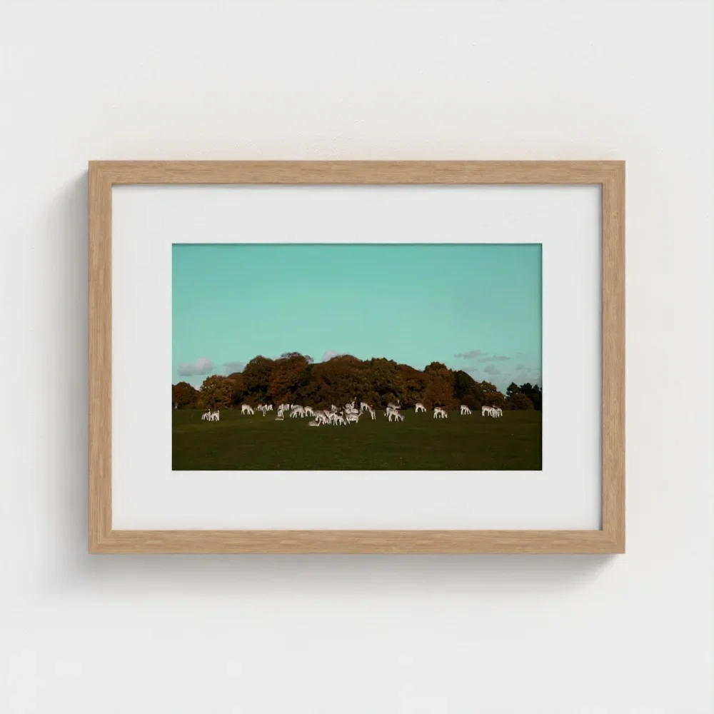 Herd of Deer Fine Art Photography | British Countryside，Serene Landscape Wall Art