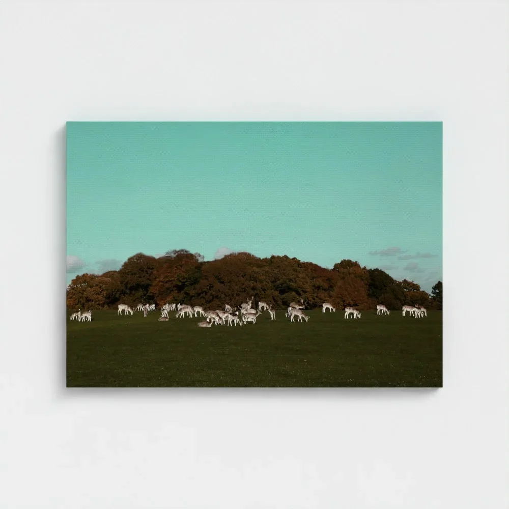 Herd of Deer Fine Art Photography | British Countryside，Serene Landscape Wall Art