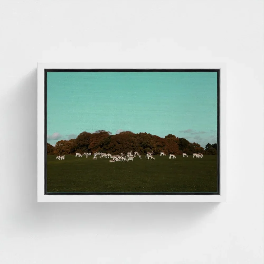 Herd of Deer Fine Art Photography | British Countryside，Serene Landscape Wall Art