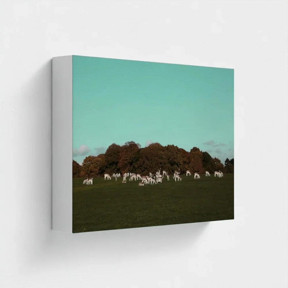 Herd of Deer Fine Art Photography | British Countryside，Serene Landscape Wall Art