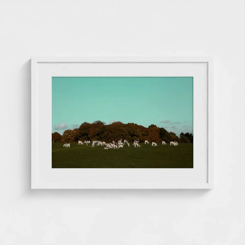 Herd of Deer Fine Art Photography | British Countryside，Serene Landscape Wall Art