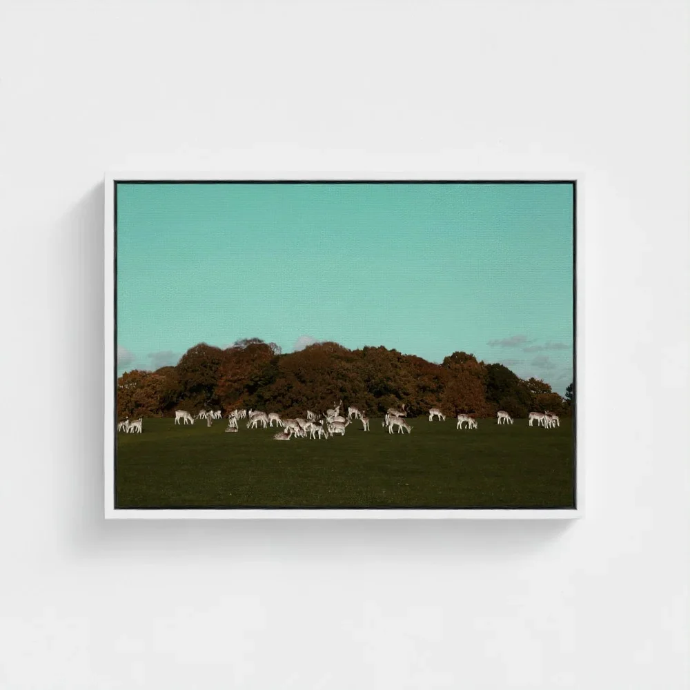 Herd of Deer Fine Art Photography | British Countryside，Serene Landscape Wall Art