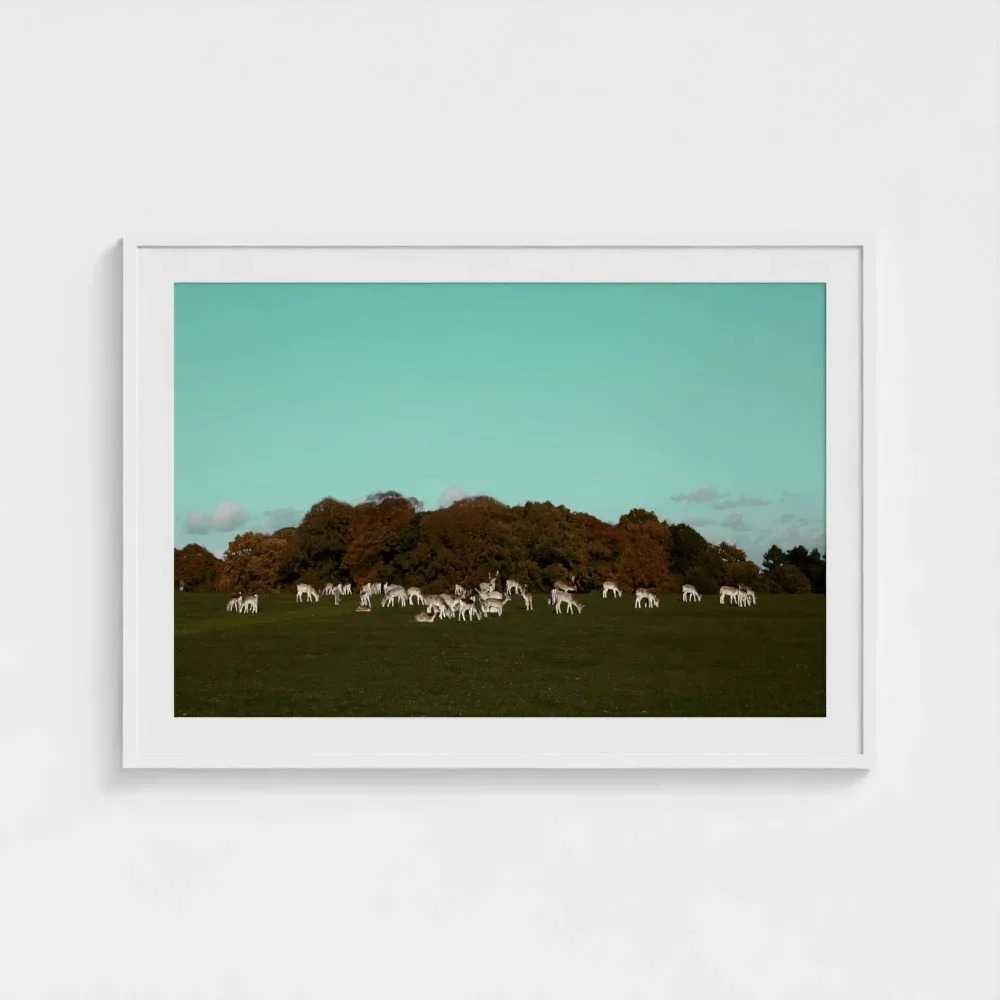 Herd of Deer Fine Art Photography | British Countryside，Serene Landscape Wall Art