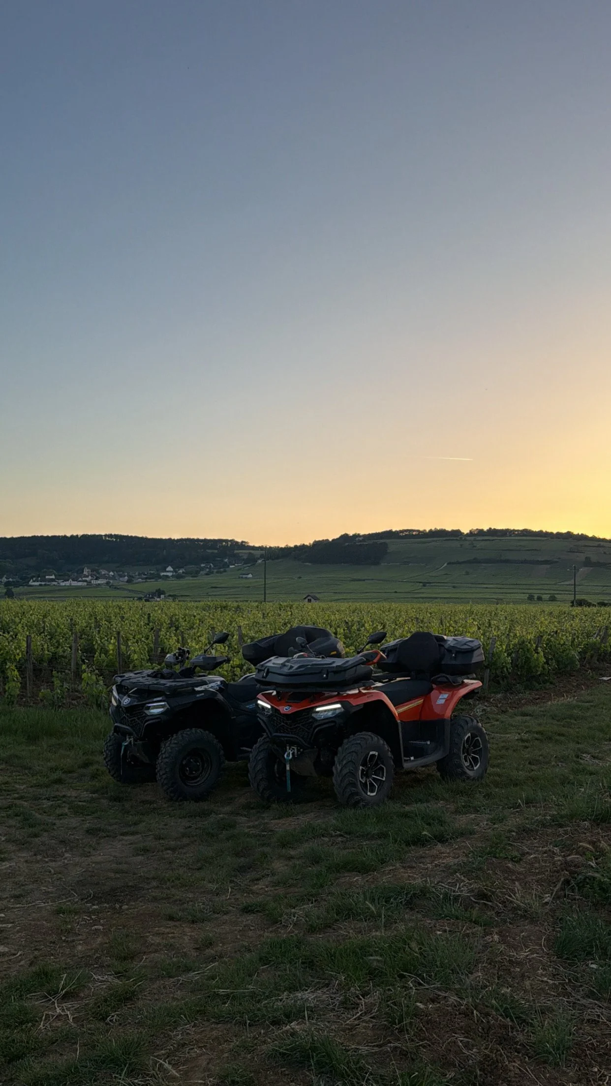 Balade Route Des Grands Crus - 2 heures