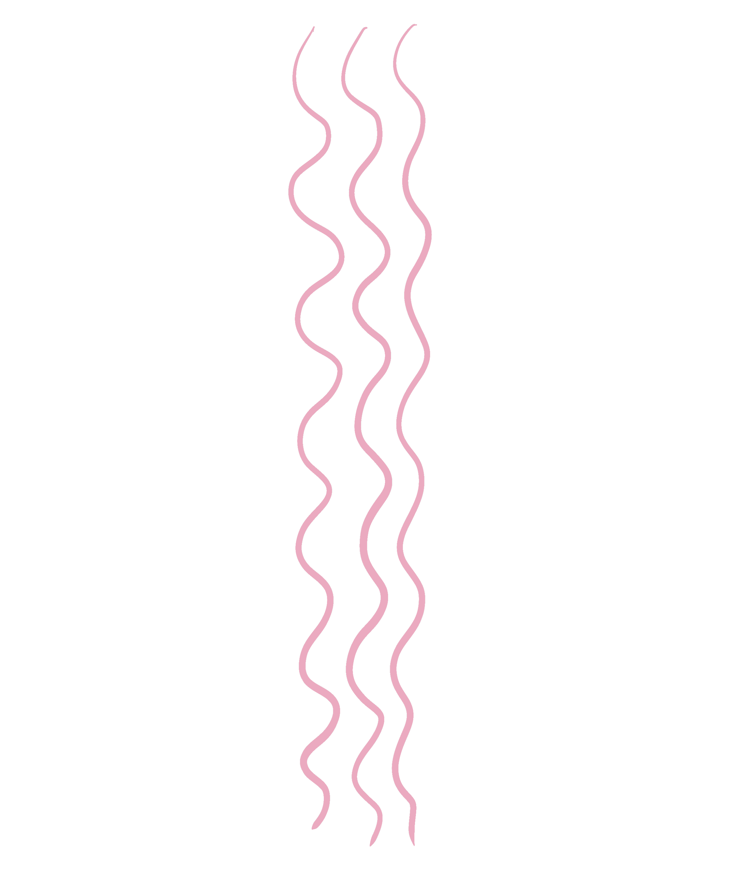 design & illustration