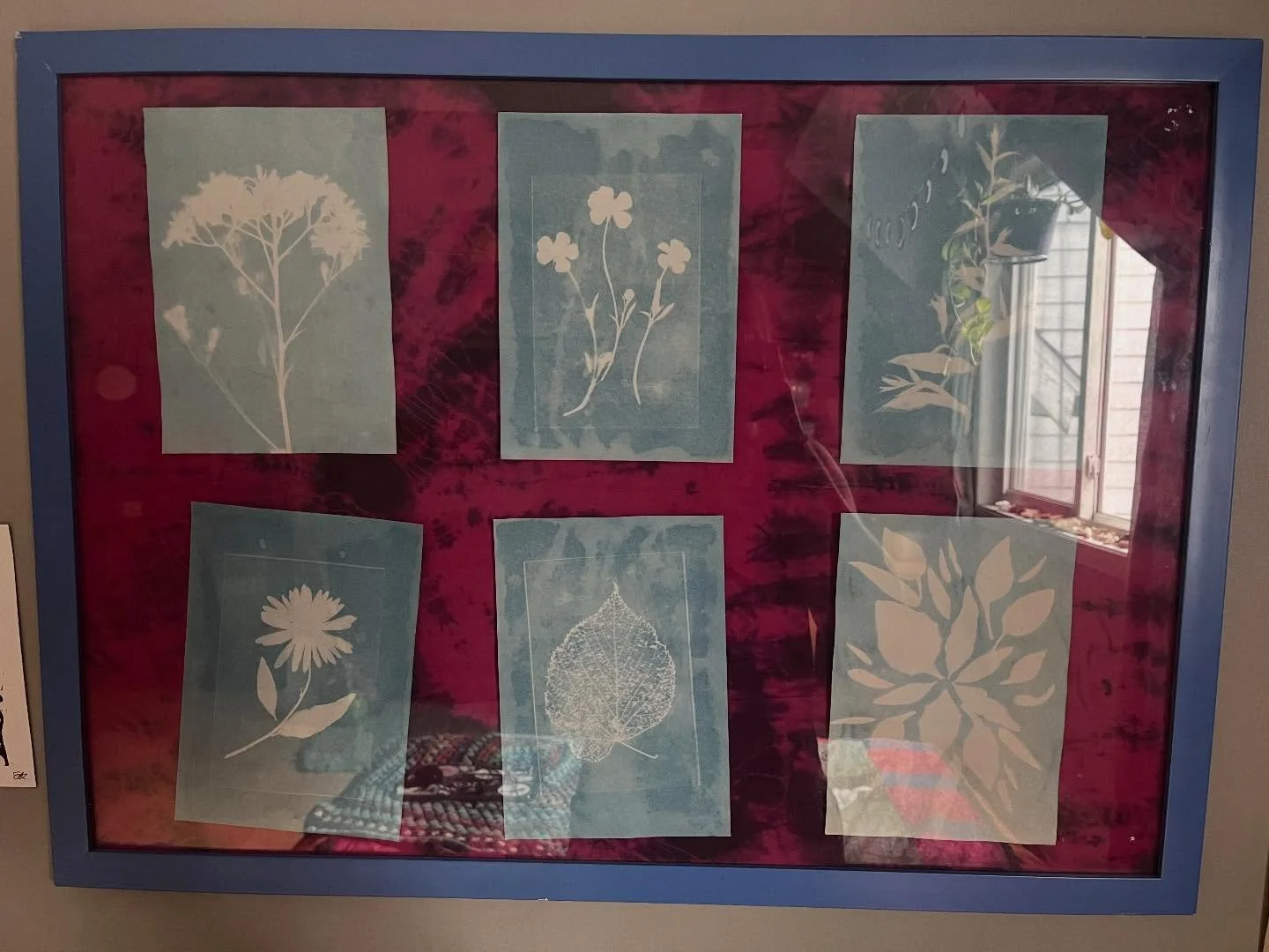 Another recent project! This one was hard to photograph because it&rsquo;s framed behind glass, but it&rsquo;s 6 cyanotypes that I made over the summer, with a piece of fabric as the backing. The cyanotypes were just made from a dollarama kit, it com