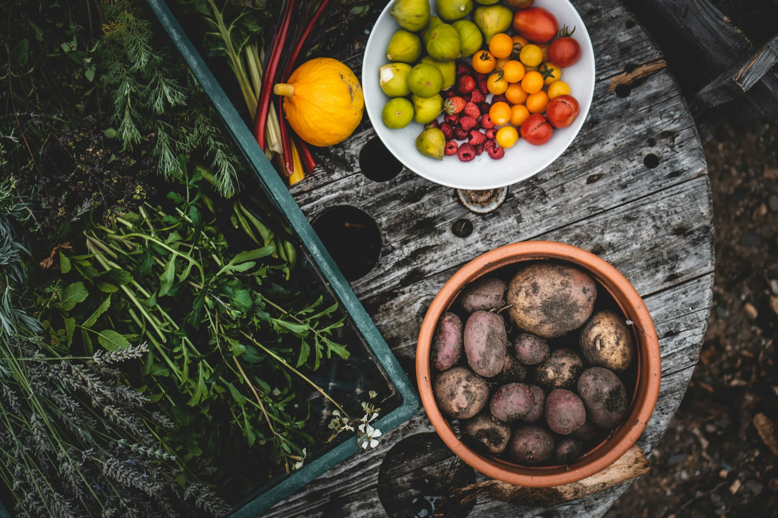 A wooden outdoor table with a white bowl of small heirloom tomatoes in shades of green, yellow, and red, a terracotta pot of round purple-skinned potatoes, a container of fresh herbs and greens, and a yellow heirloom squash, all suggesting a farm-to-table harvest scene.