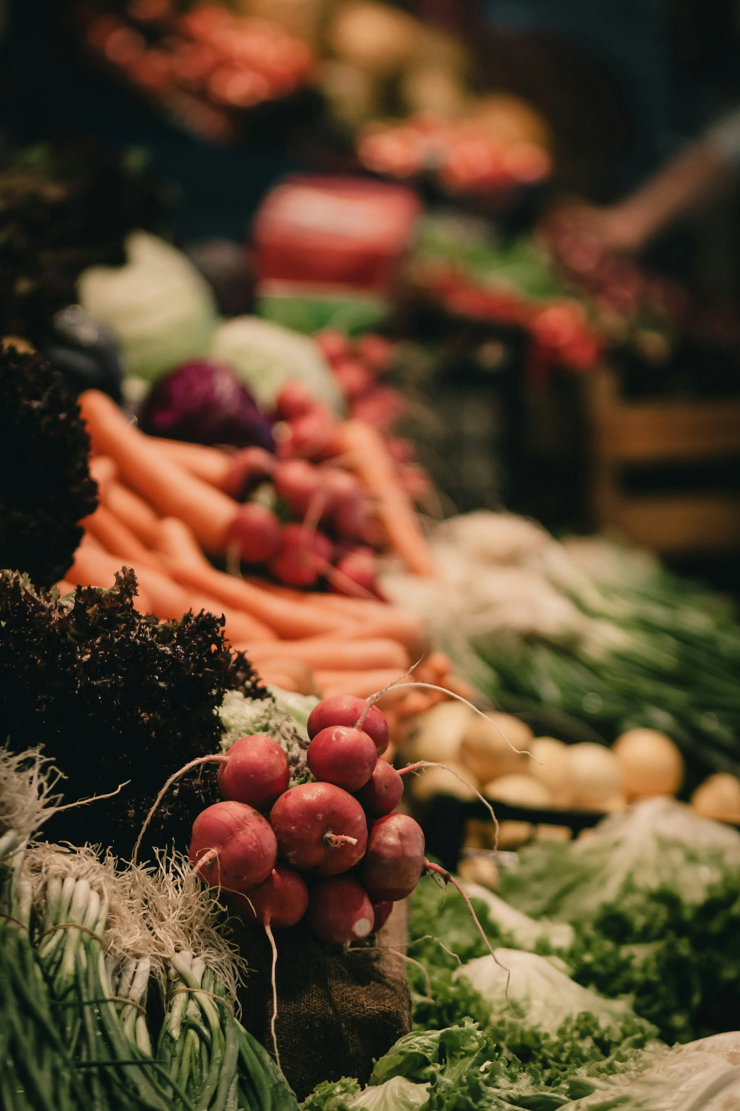 Close-up of fresh vegetables including radishes, carrots, lettuce, and other greens at a market stall.