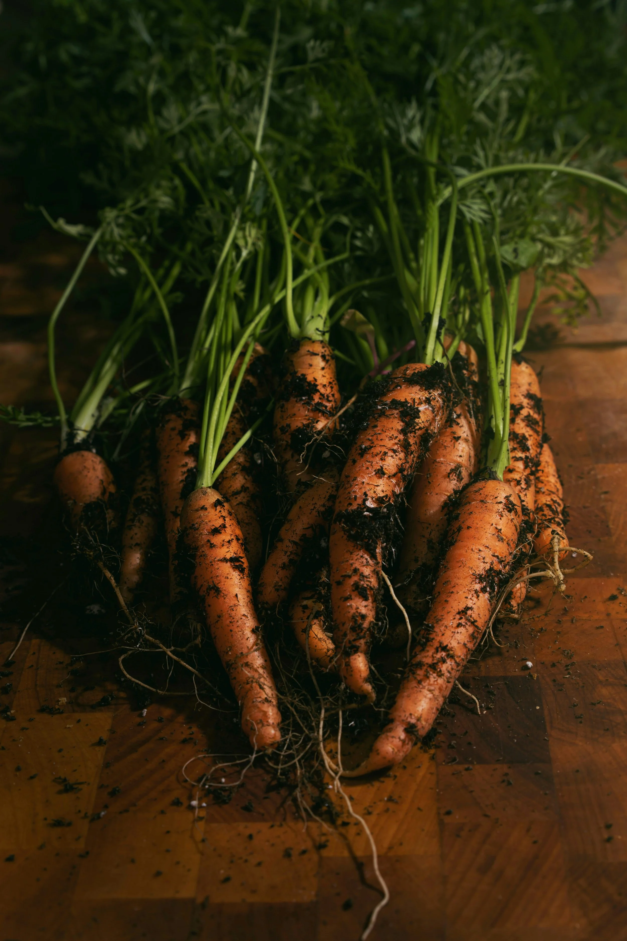 Freshly harvested carrots with soil on them, laid out on a wooden surface.