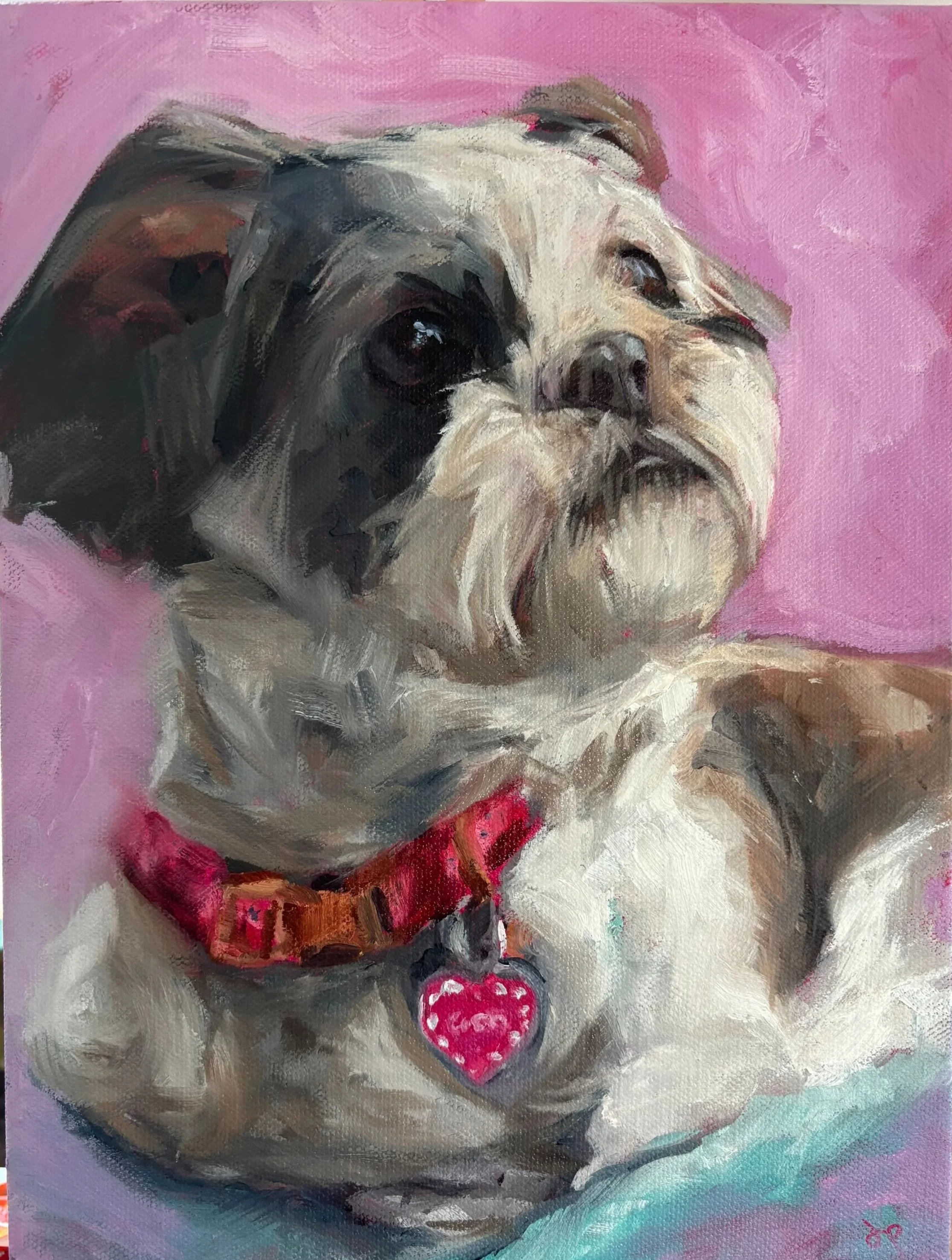 An expressive oil painting of a shih-tzu dog with a pink background. 