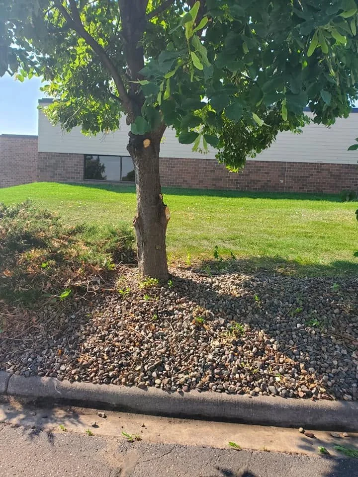 Commercial Rock installation 