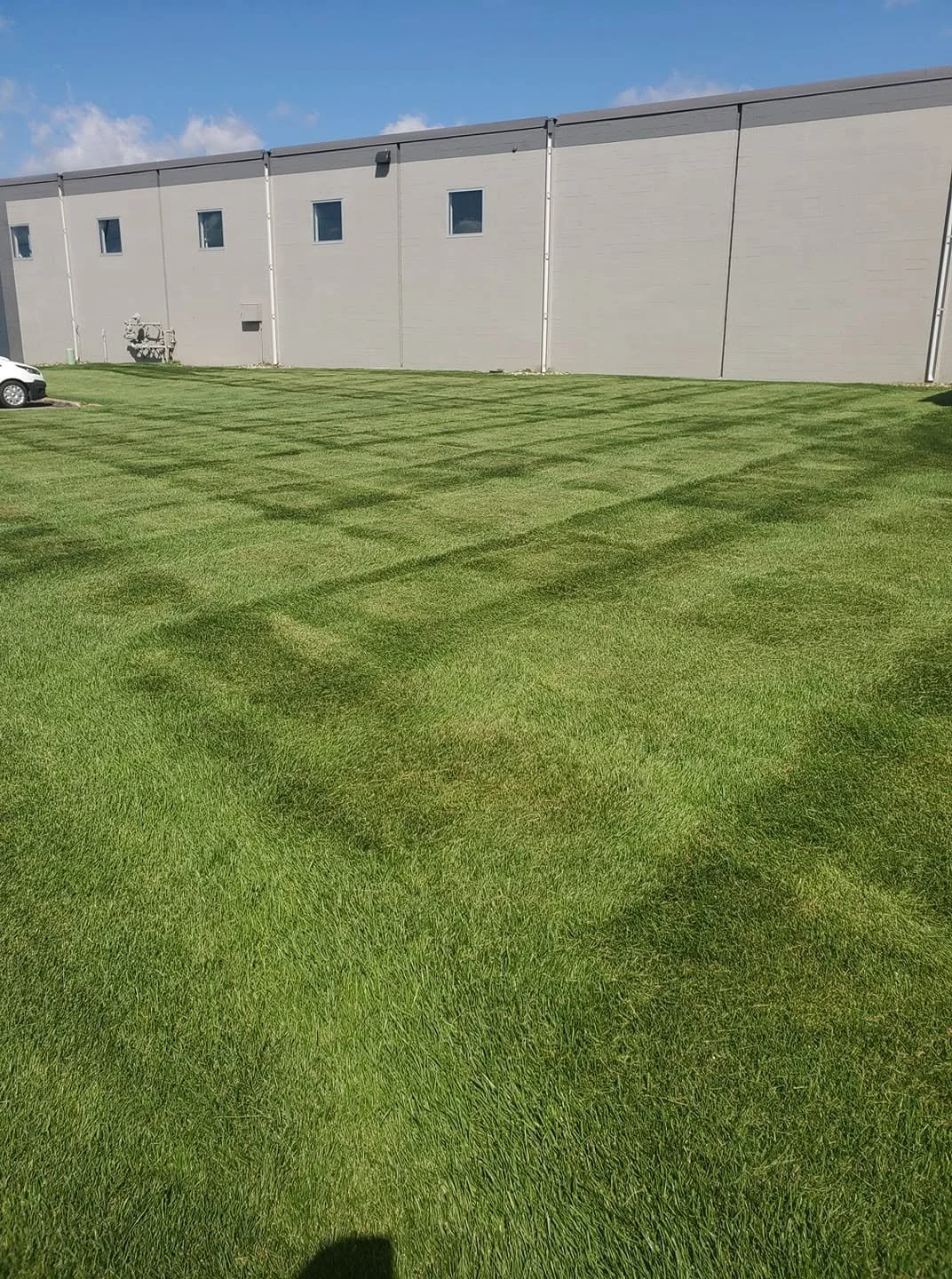 commercial lawncare 