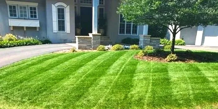 lawn car