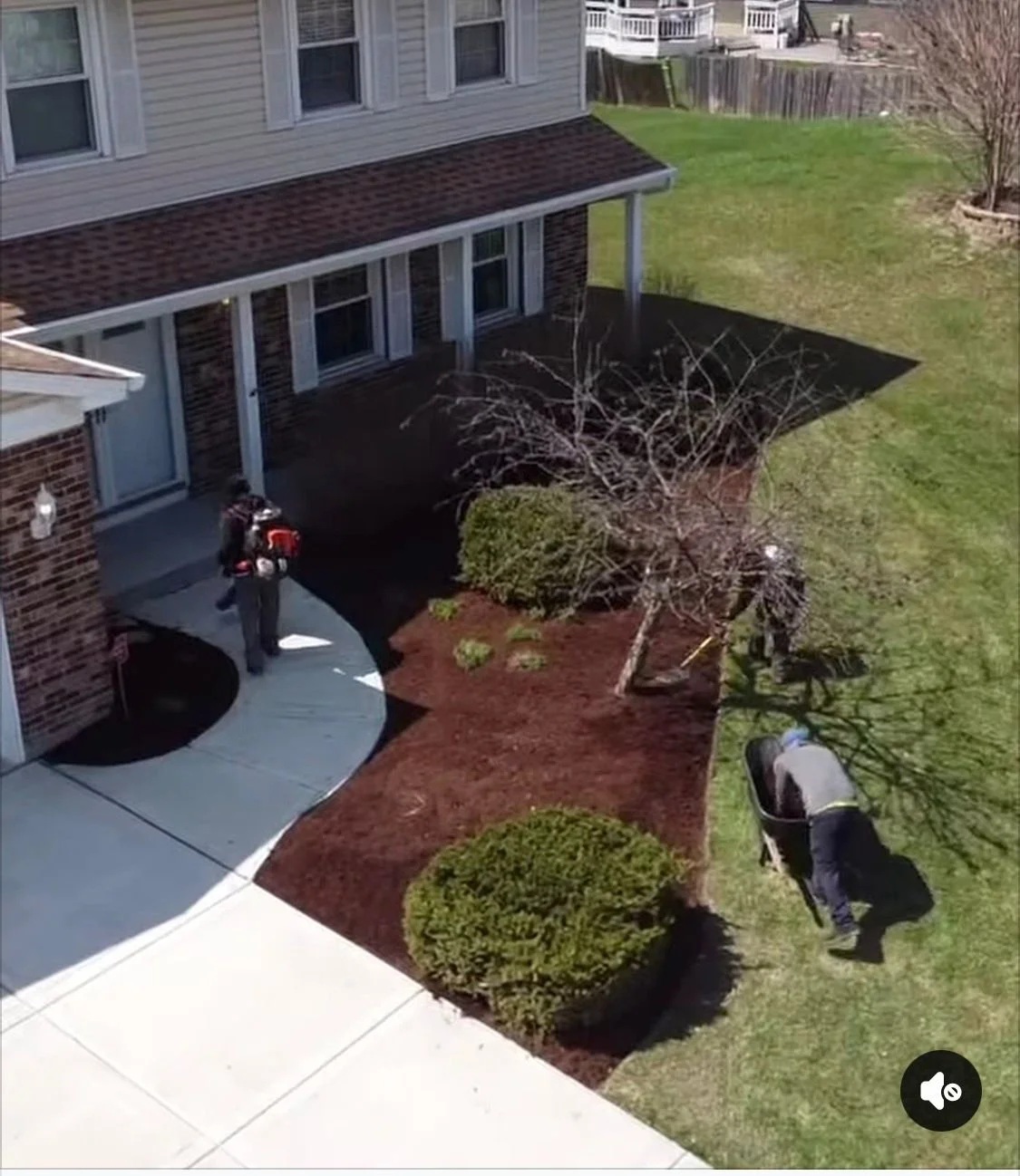 mulch installation