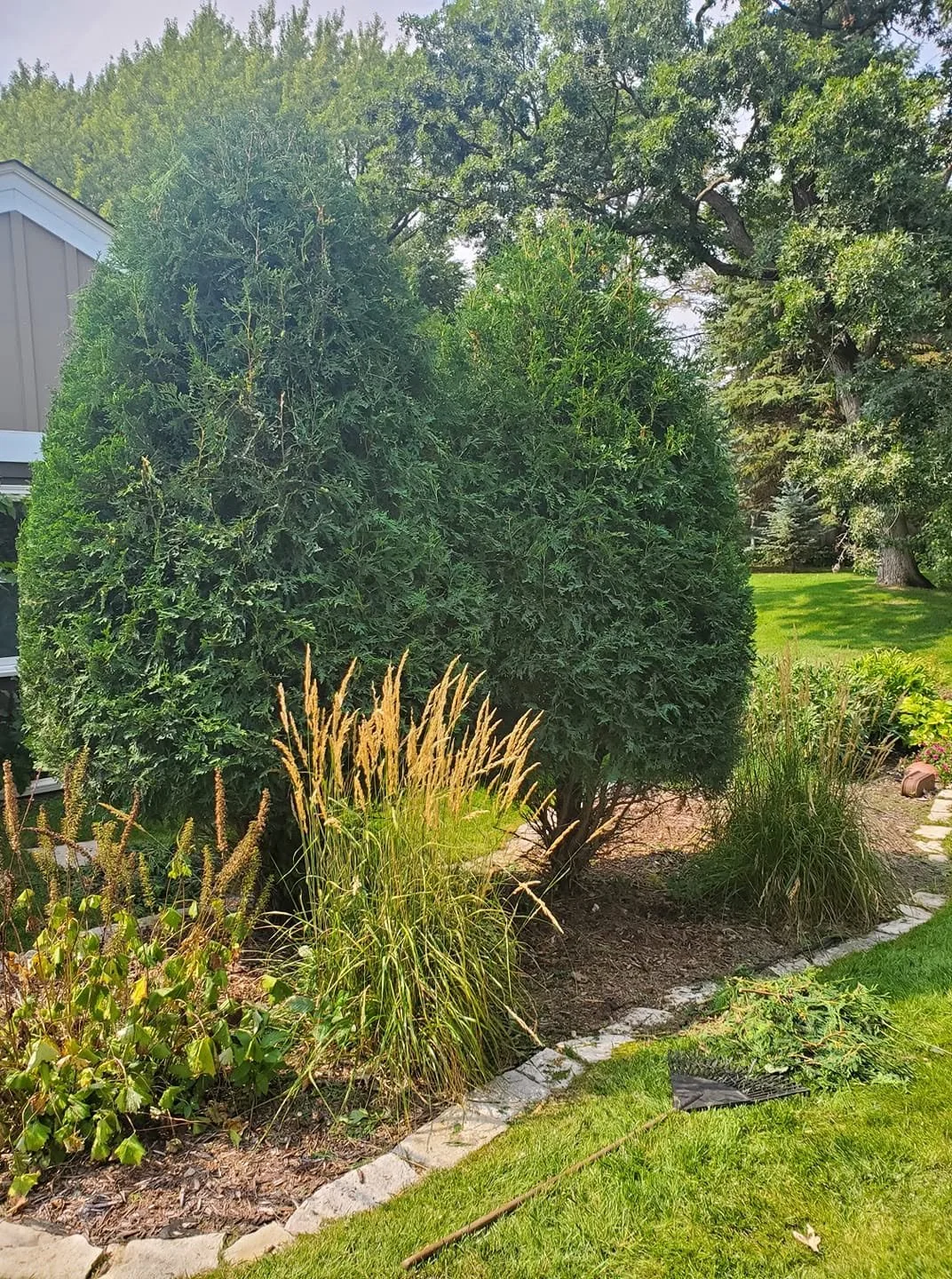 mulch and trimming 