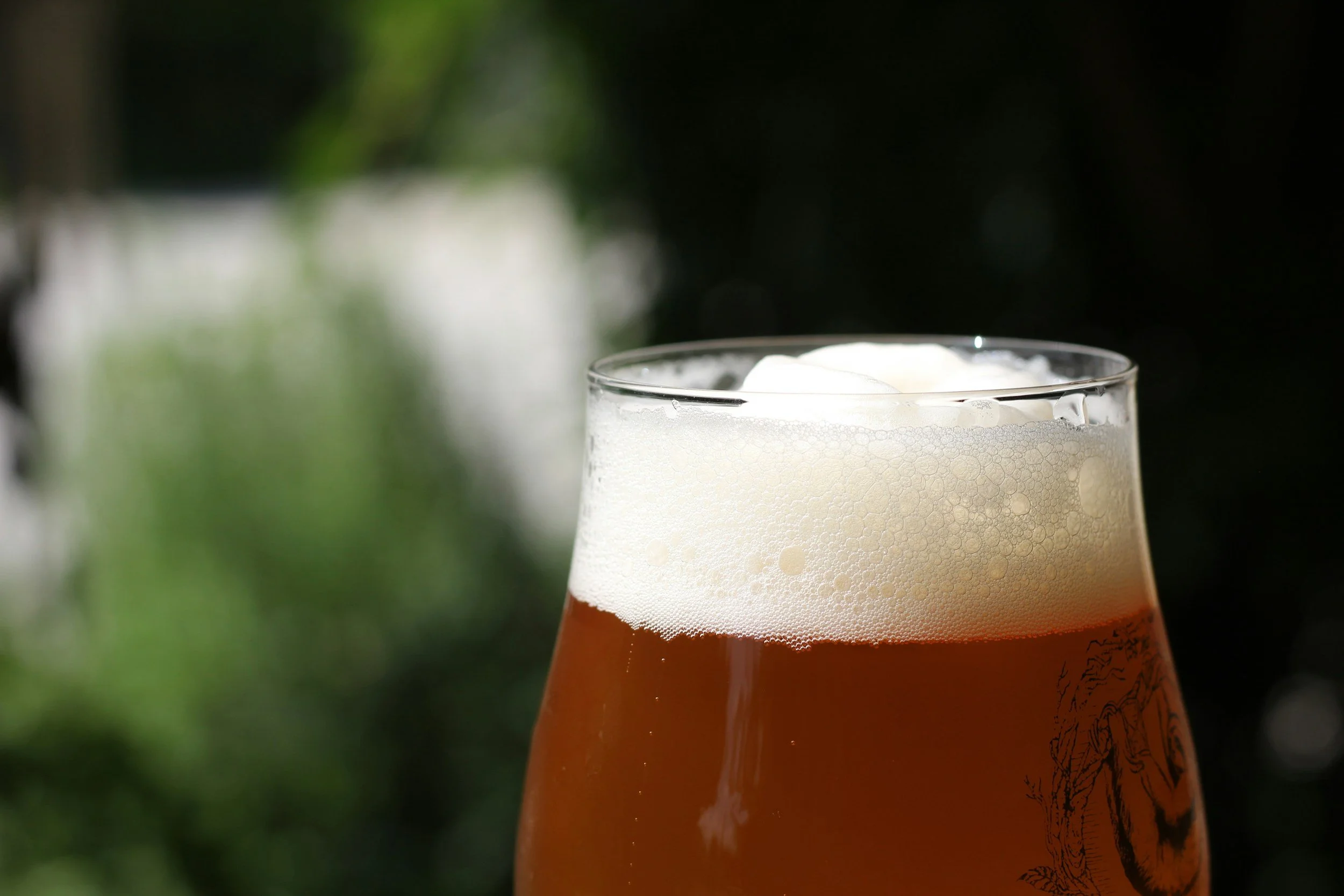 A glass of beer with foam on top, photographed with blurred greenery in the background.