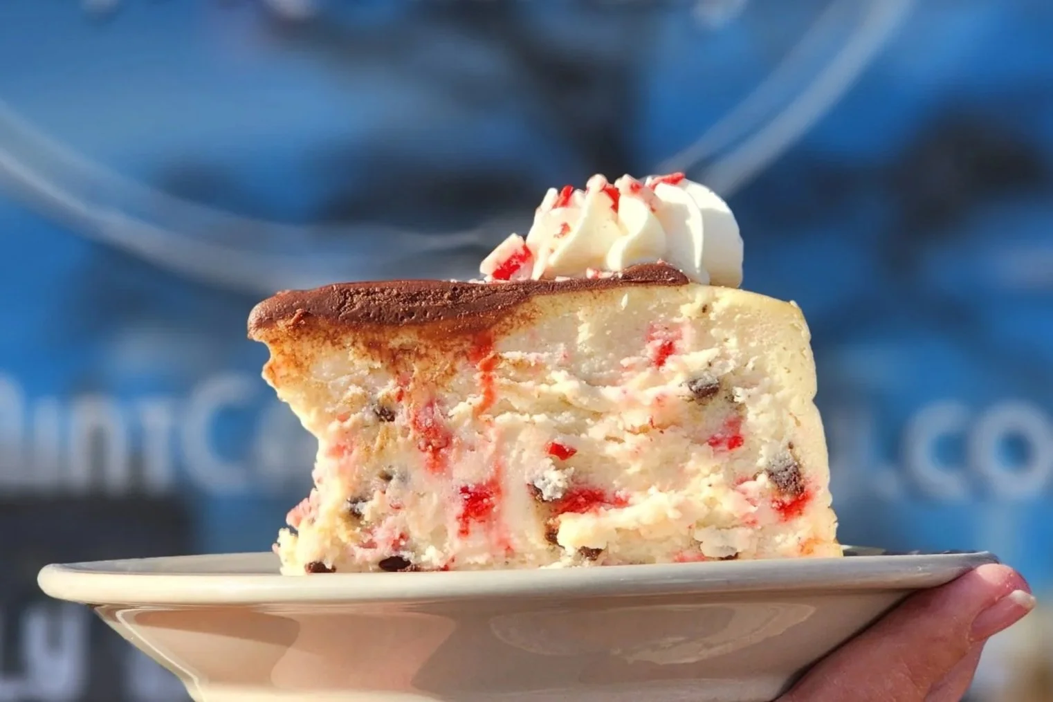 A slice of cheesecake with a graham cracker crust, topped with whipped cream and red sprinkles, being held on a white plate.