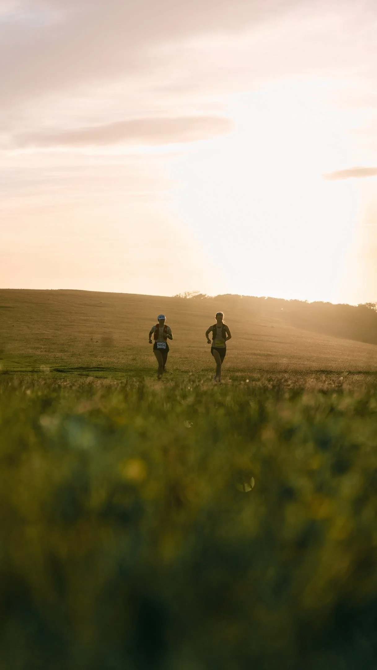 2 runners in a field at sunset