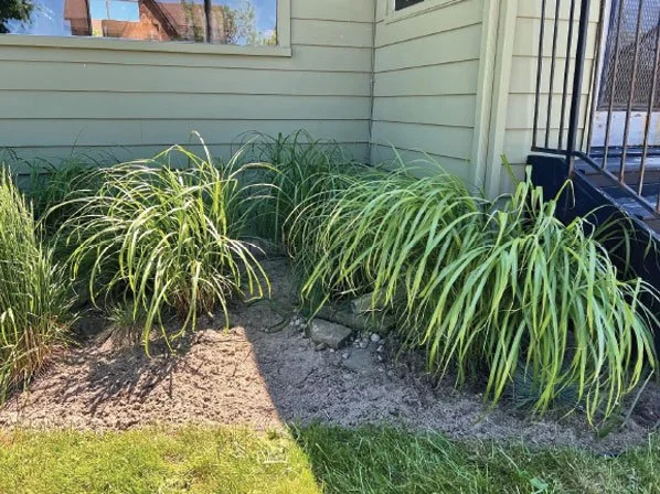 GardensGB.jpg