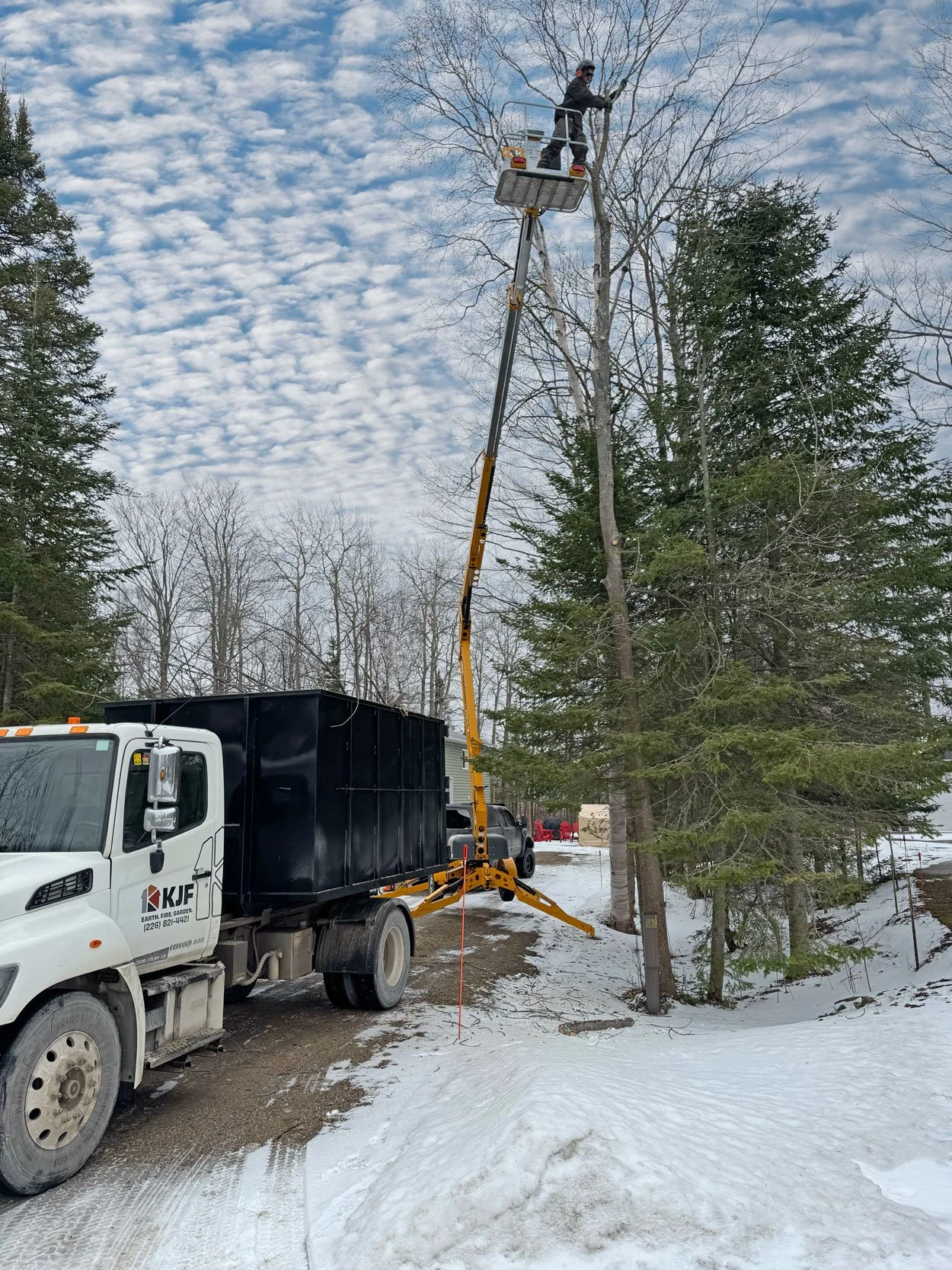 TreeRemovalGeorgianBay.jpg