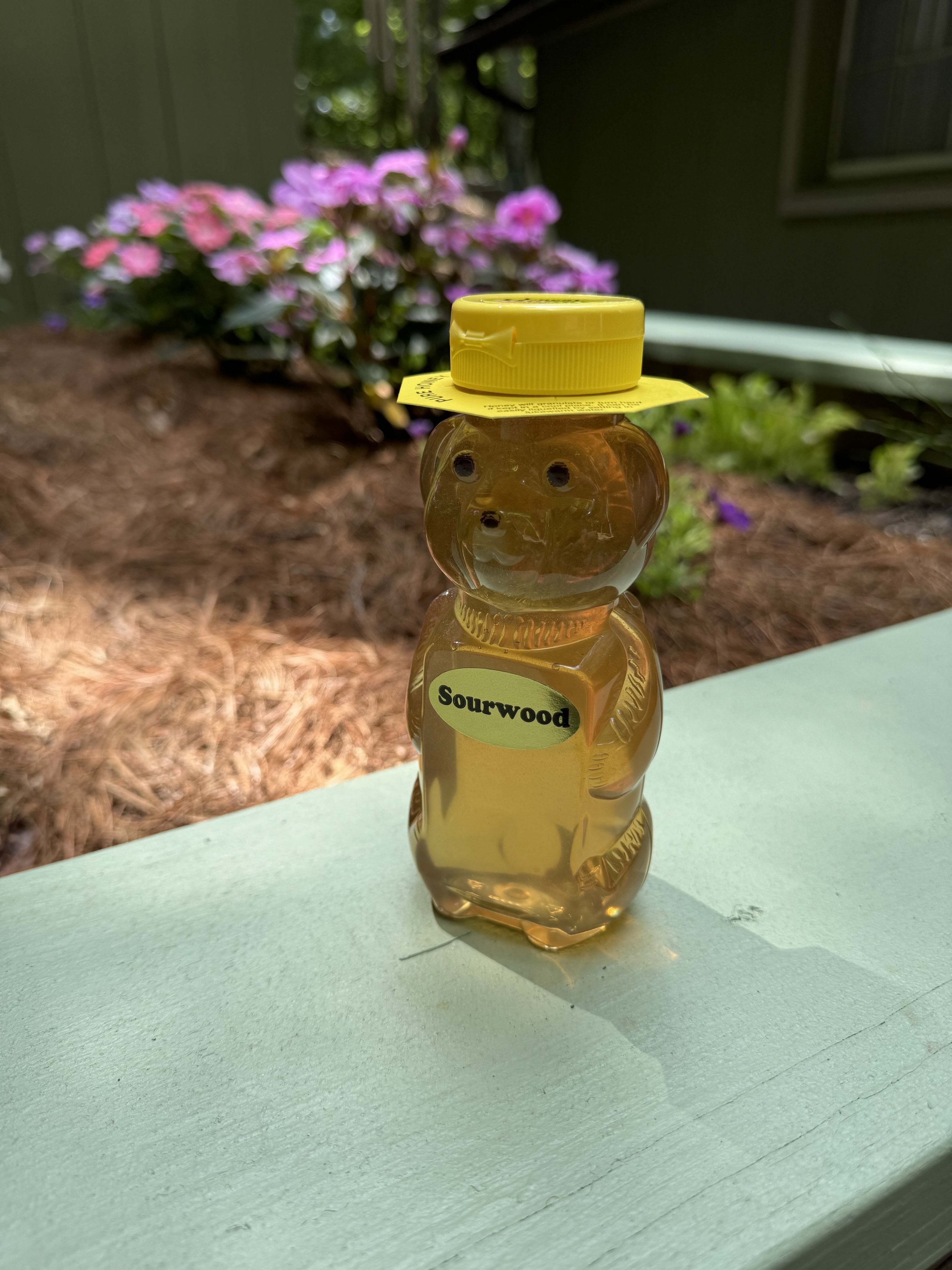Bear.jpg