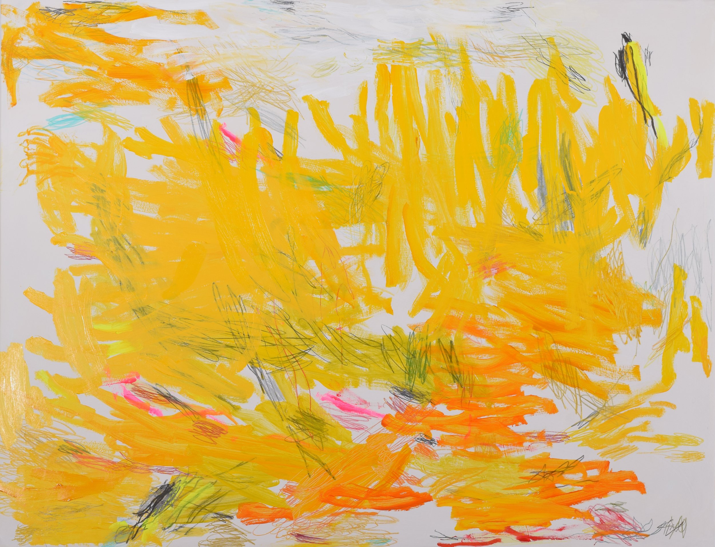 ANDRES_JESUS_YELLOW_2026_1 of 4 web.jpg