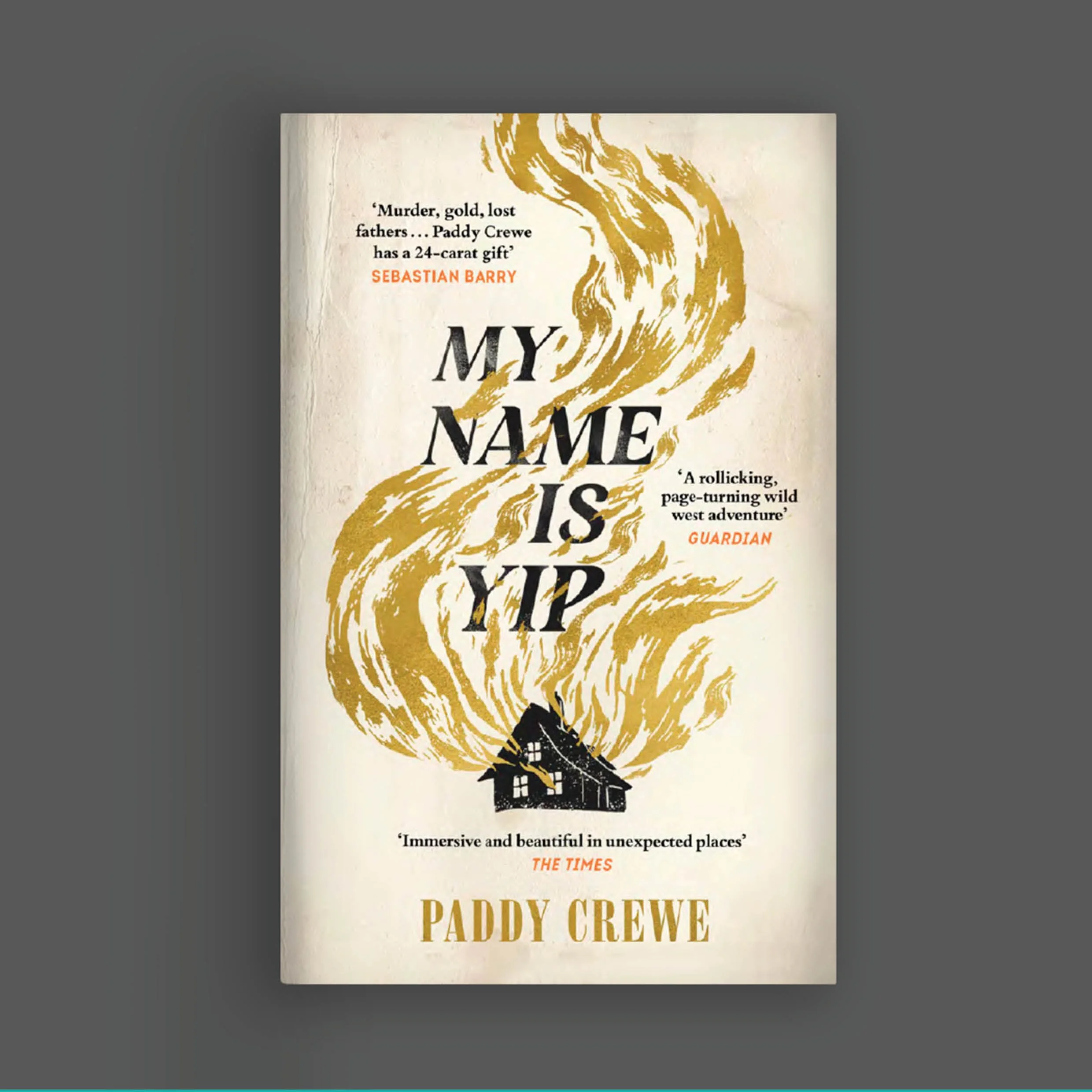 A book cover with gold illustration of a tree and a small house at its base, titled 'MY NAME IS YIP'. It includes quotes praising the book and the author's name 'PADDY CREWE' in large text.