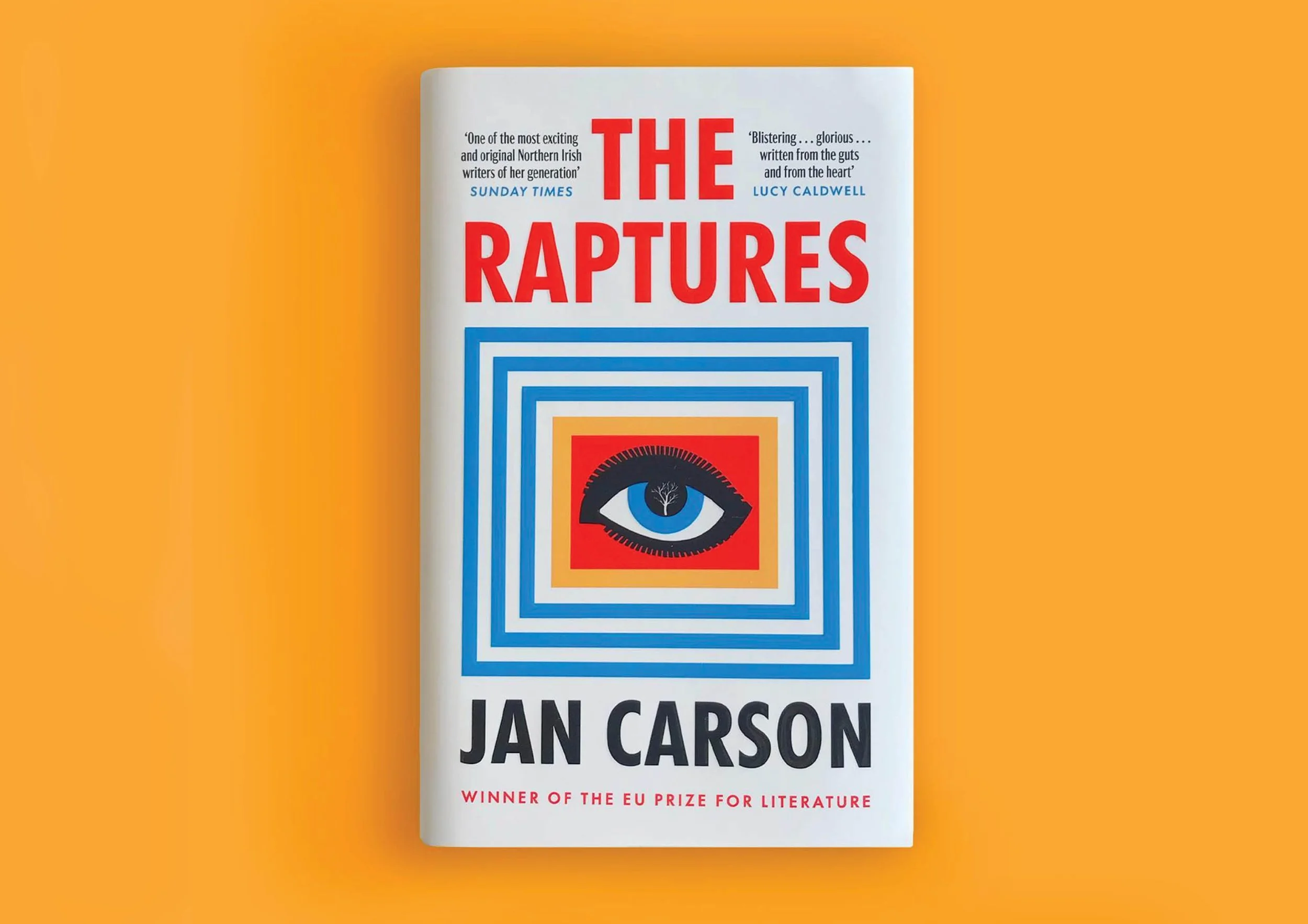 Close-up of a book titled 'The Raptures' by Jan Carson, with a graphic of an eye surrounded by colorful concentric squares on the cover, set against a vibrant orange background.