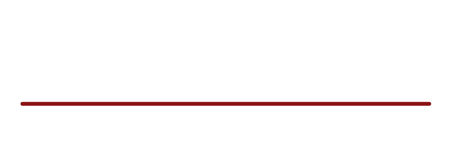 BLINTECH SECURITY