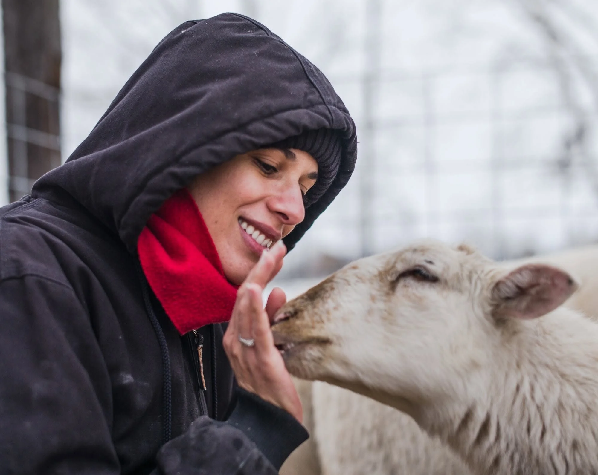 A woman wearing a black hoodie and red scarf, smiling and gently petting a light-colored sheep, outdoors near a fence.