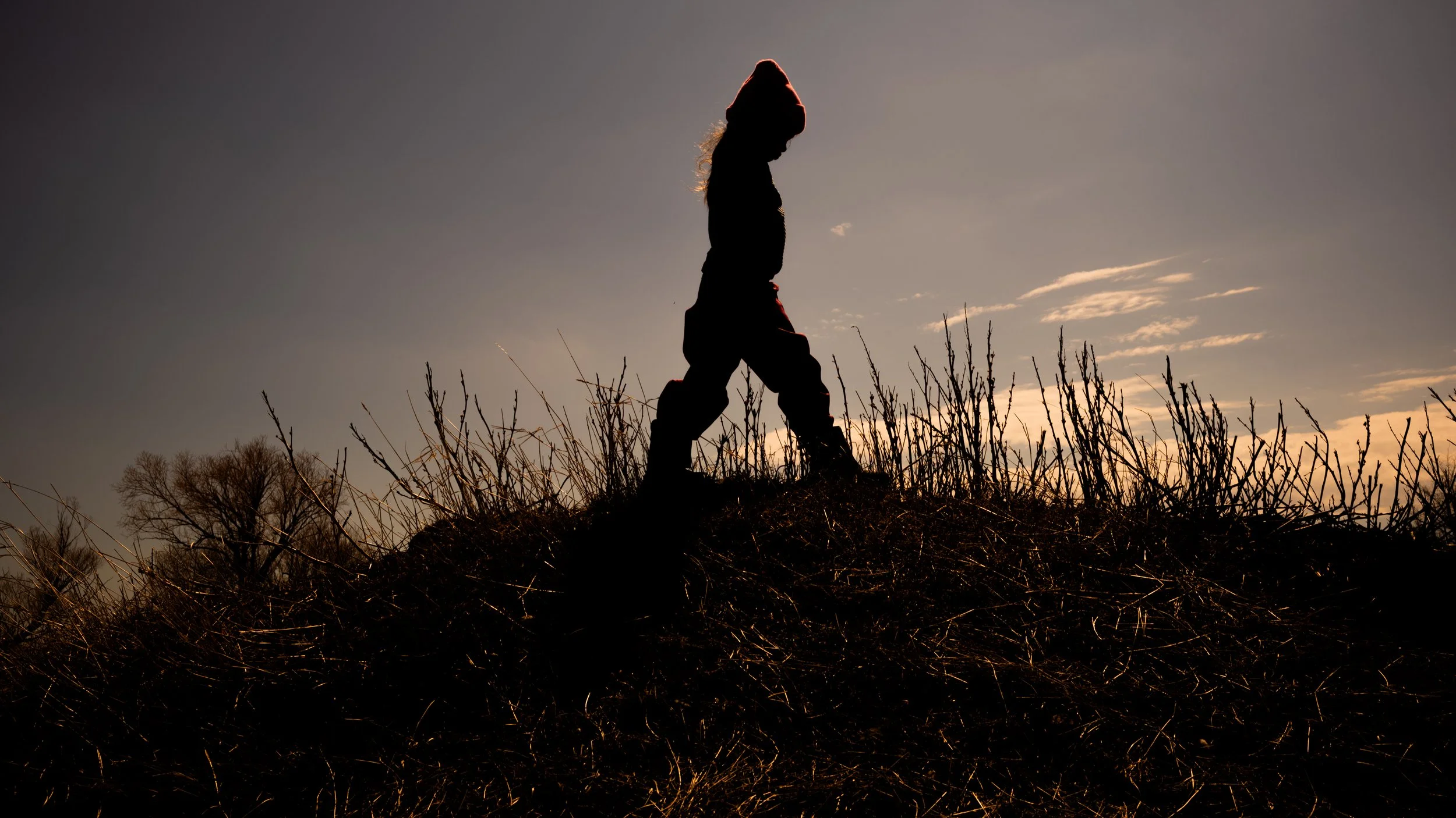 Silhouette of a child walking through tall grasses with a sunset sky in the background.
