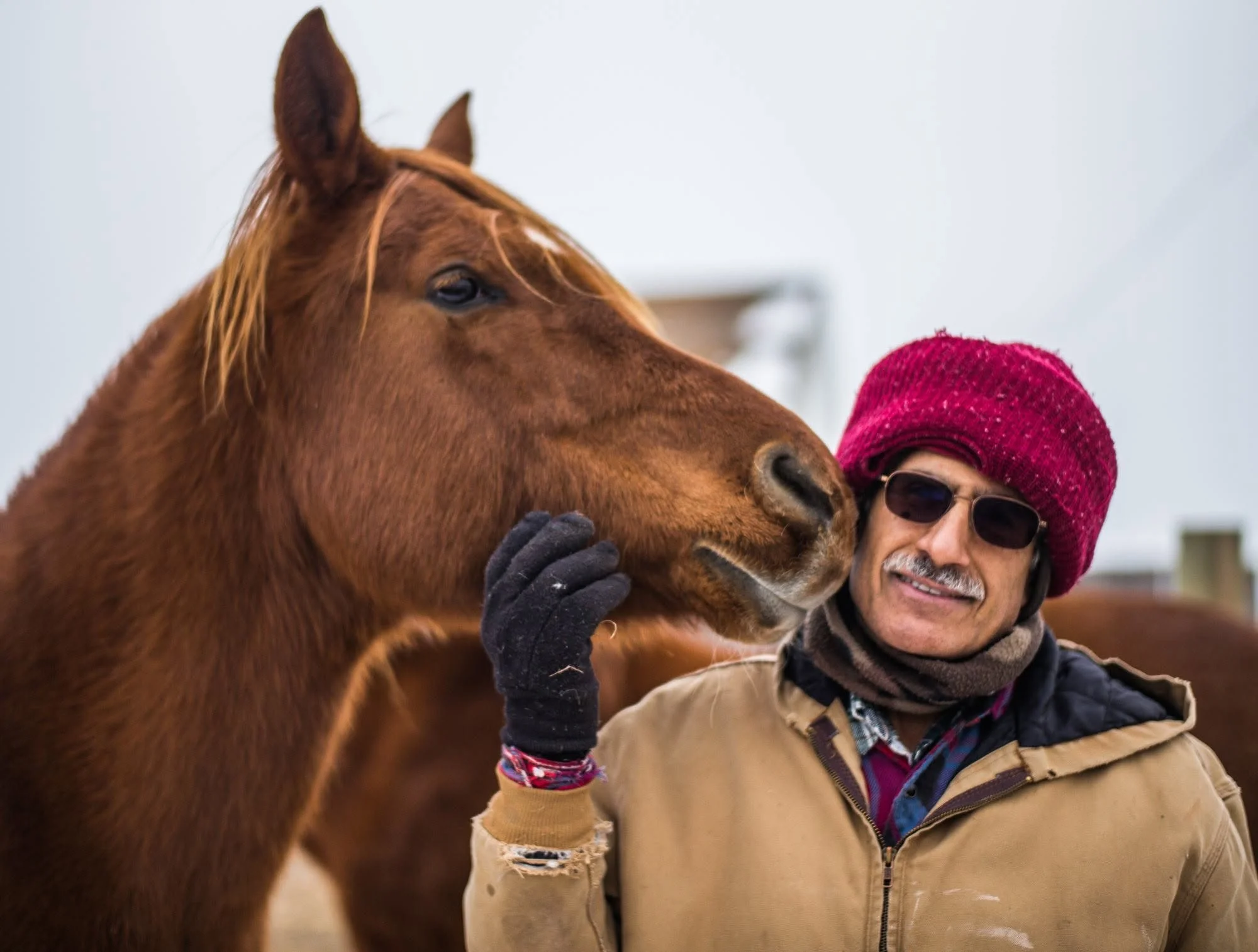 A man wearing a red knit cap, sunglasses, and winter clothing is hugging a brown horse outdoors.