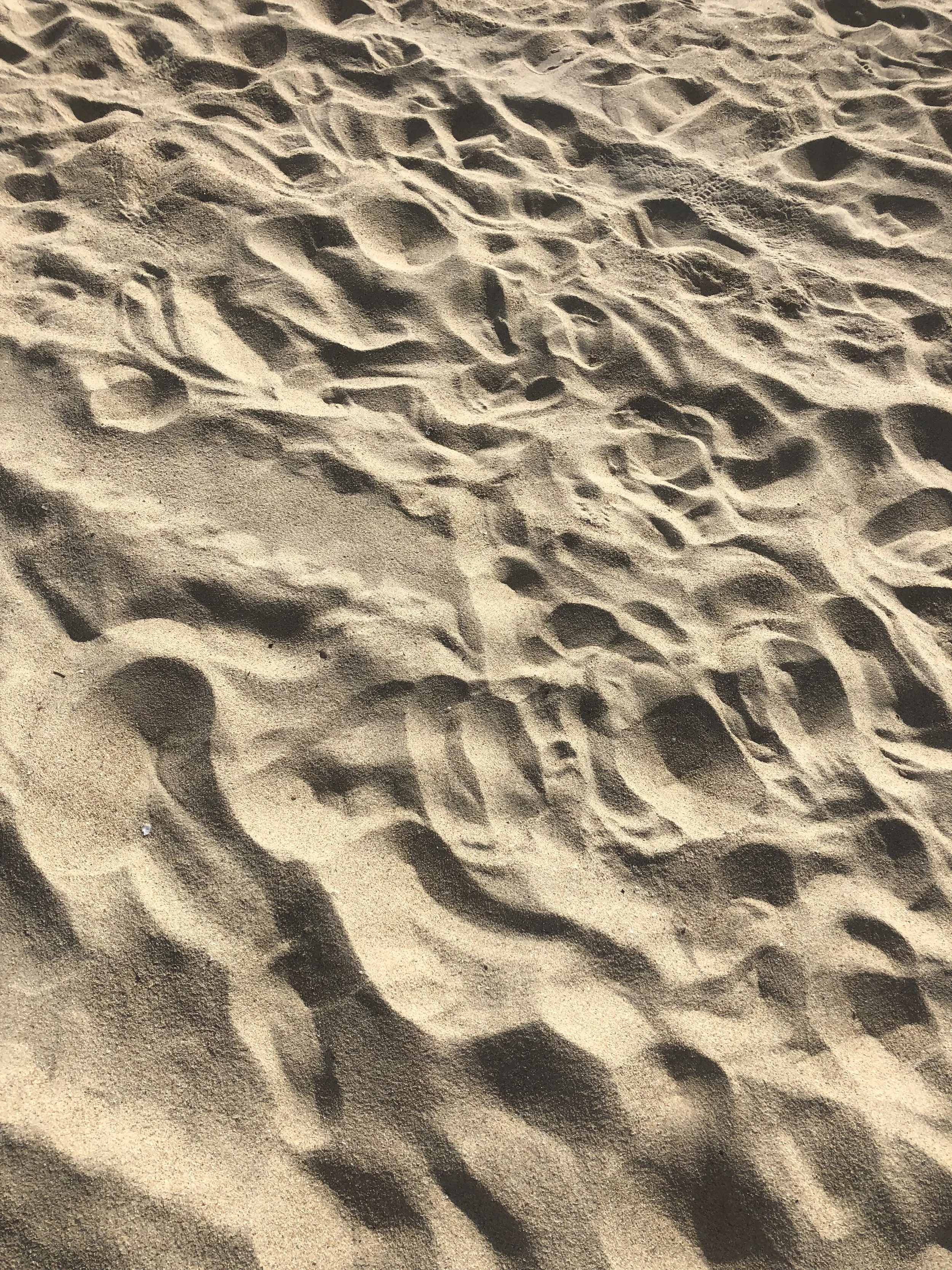 image00054.jpeg