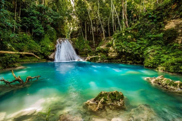 Every Passport Stamp Has a Story: Jamaica and the Roots That Called Me Back