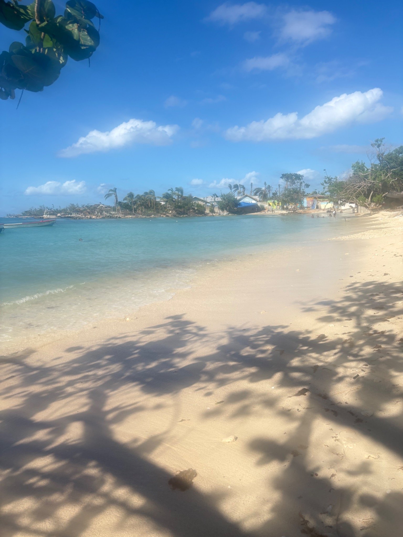 IMG_9399.jpeg