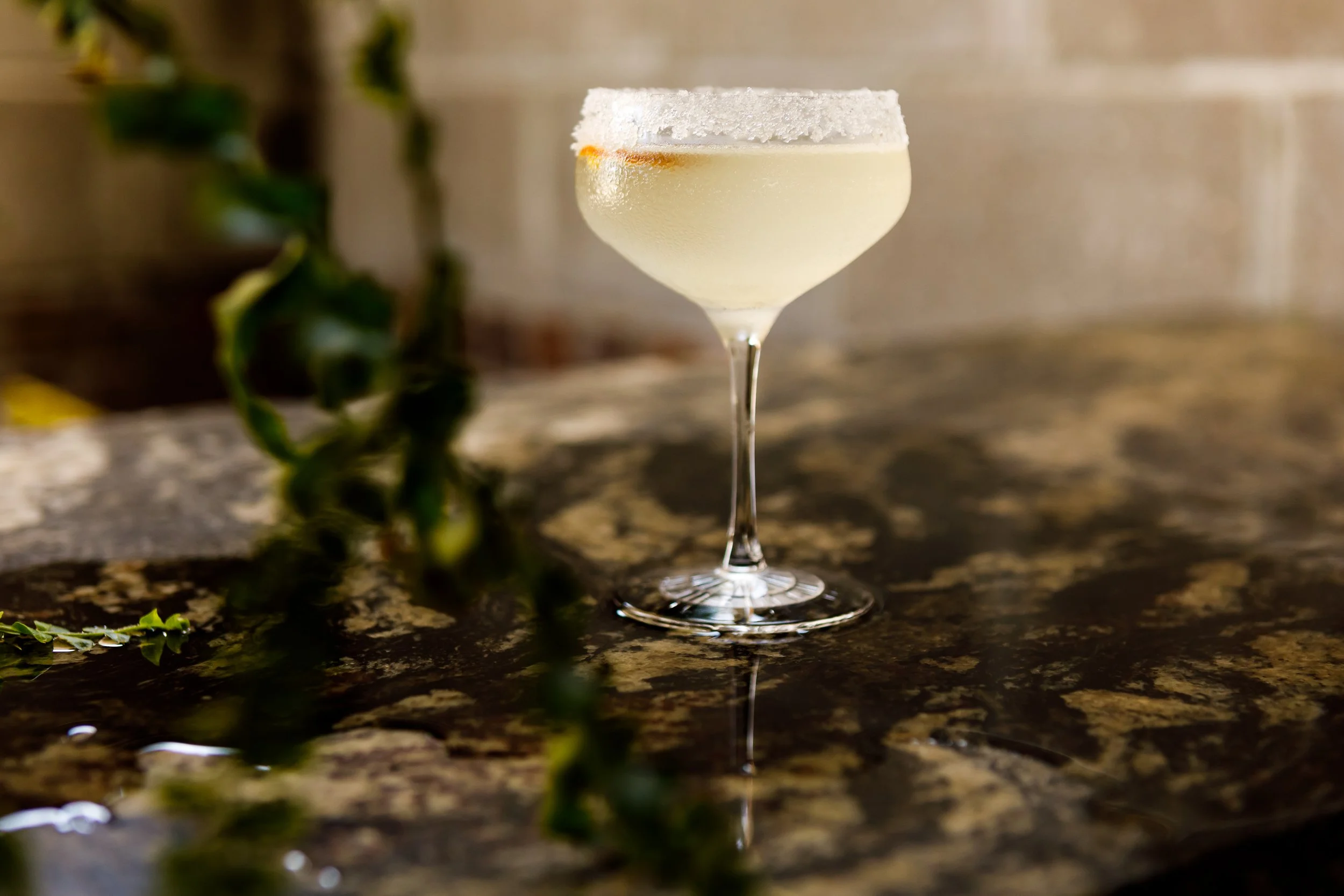 Close-up of a cocktail in a coupe glass with a salted rim, on a marble surface with green vines in the foreground and a blurred background.