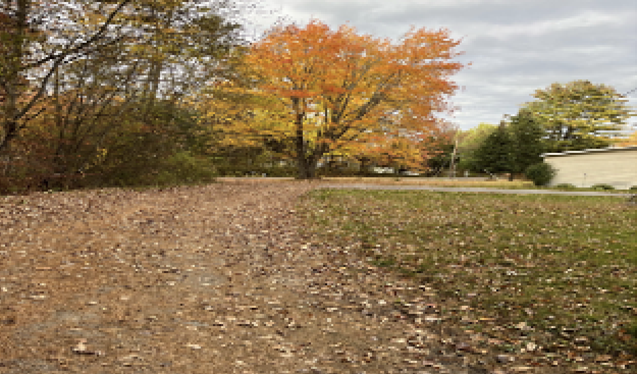 Autumn scene with a large orange tree, fallen leaves on a dirt path, surrounding trees with autumn foliage, and a building in the background.