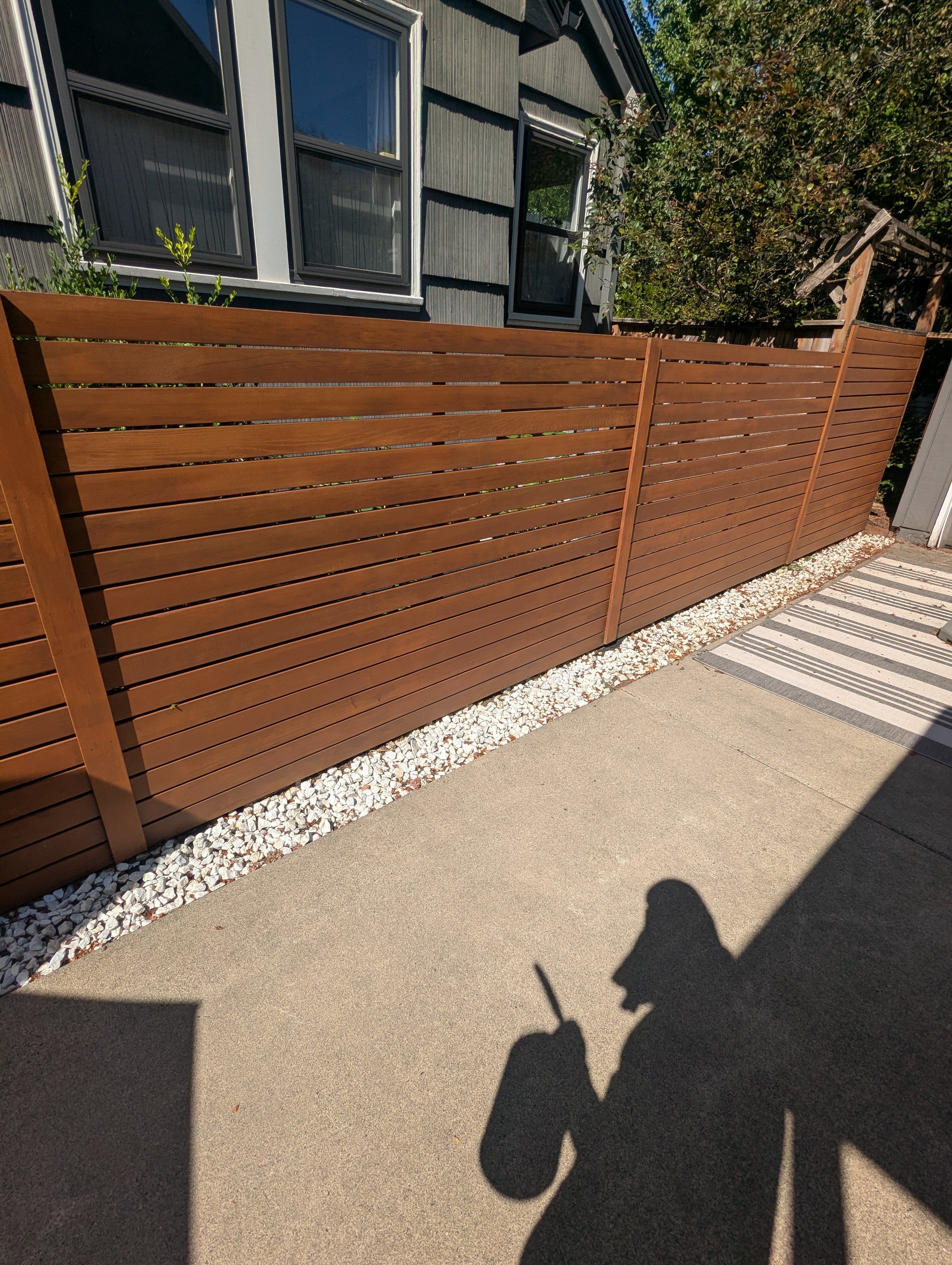 picture of a freshly stained fence with shadow of the painter in the foreground