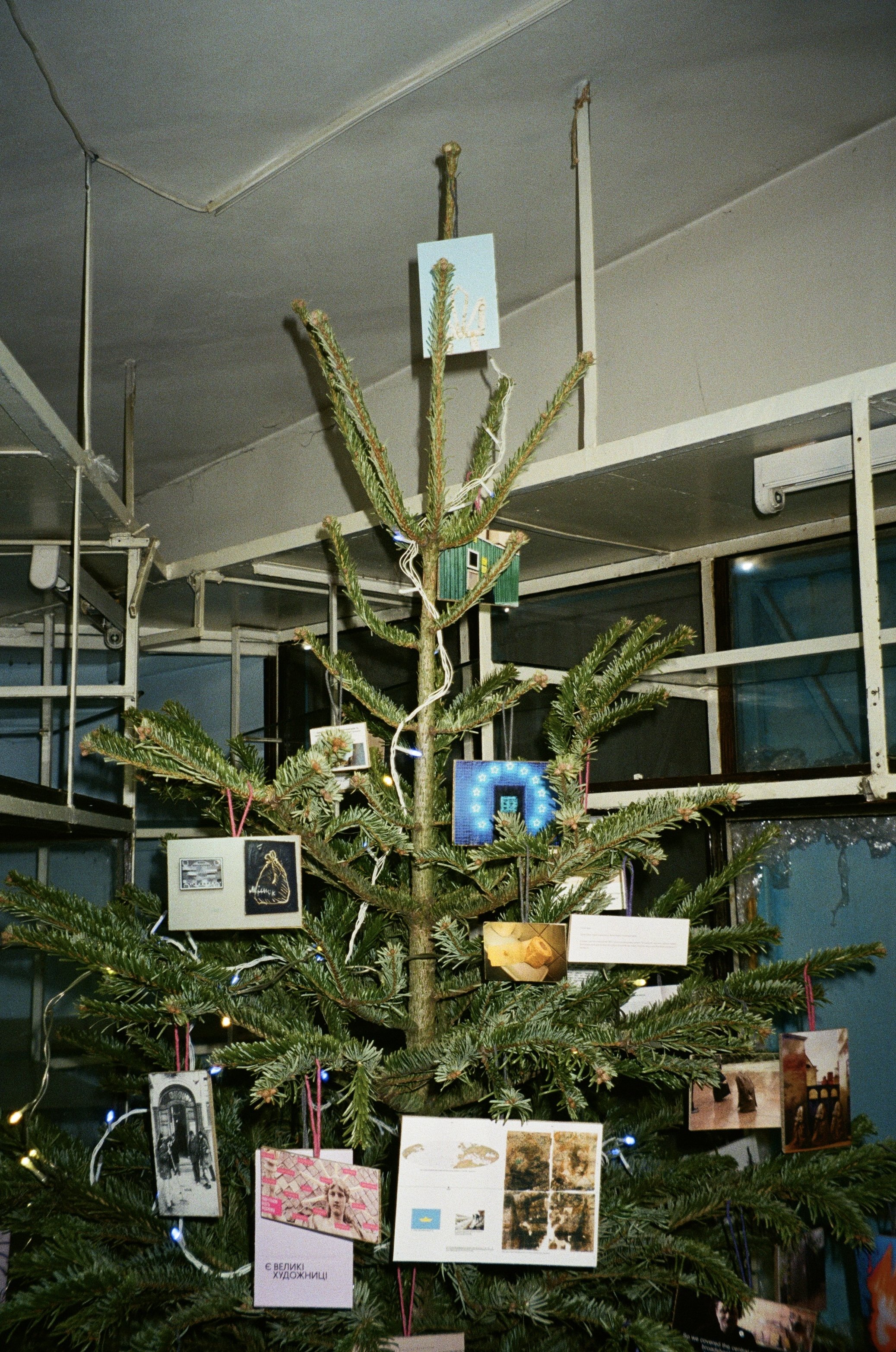 A decorated Christmas tree with various photos and cards hanging on its branches in an indoor setting.