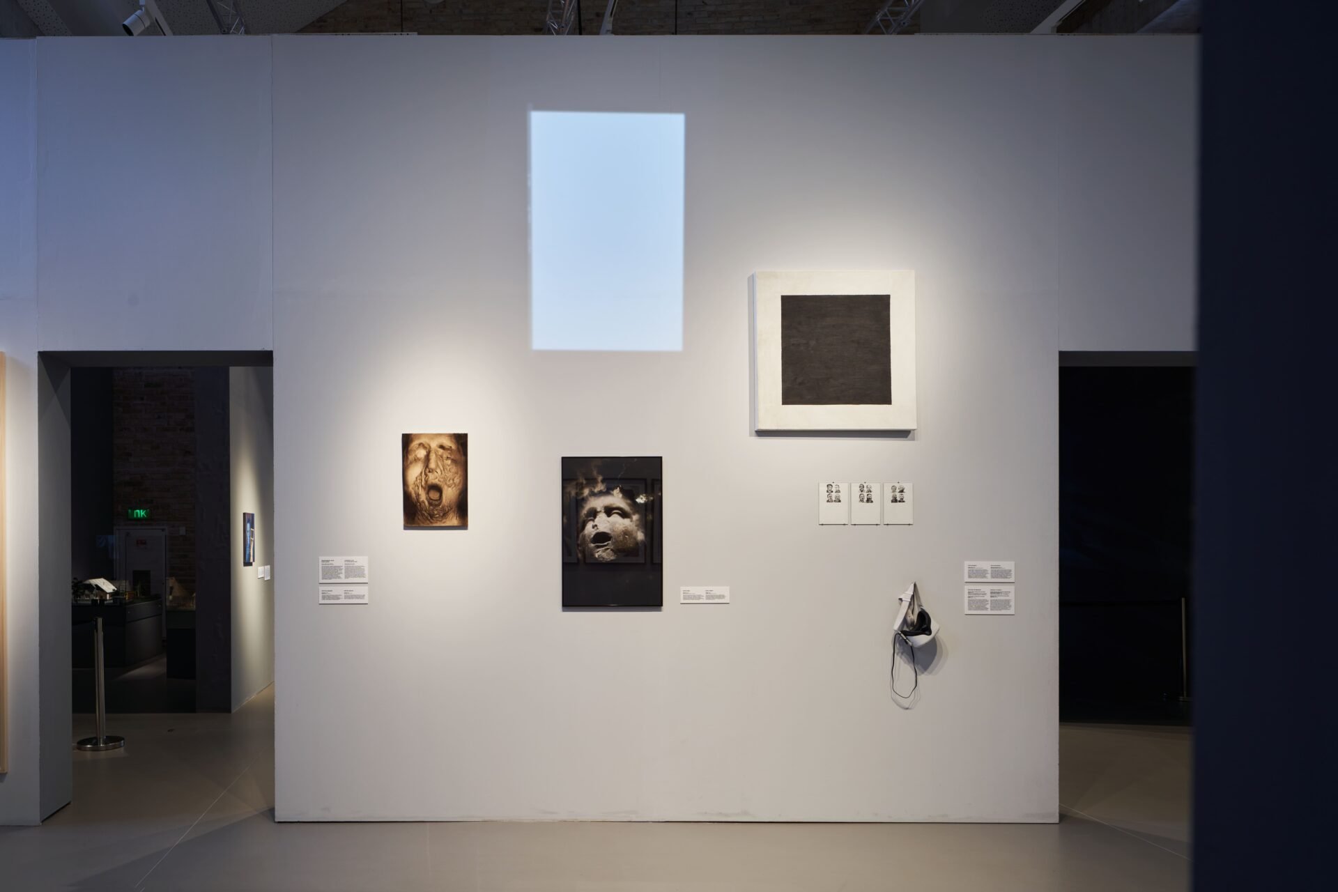 Art gallery wall displaying several artworks, including photographs, paintings, and a blank white rectangular canvas, with descriptive plaques beneath each piece.