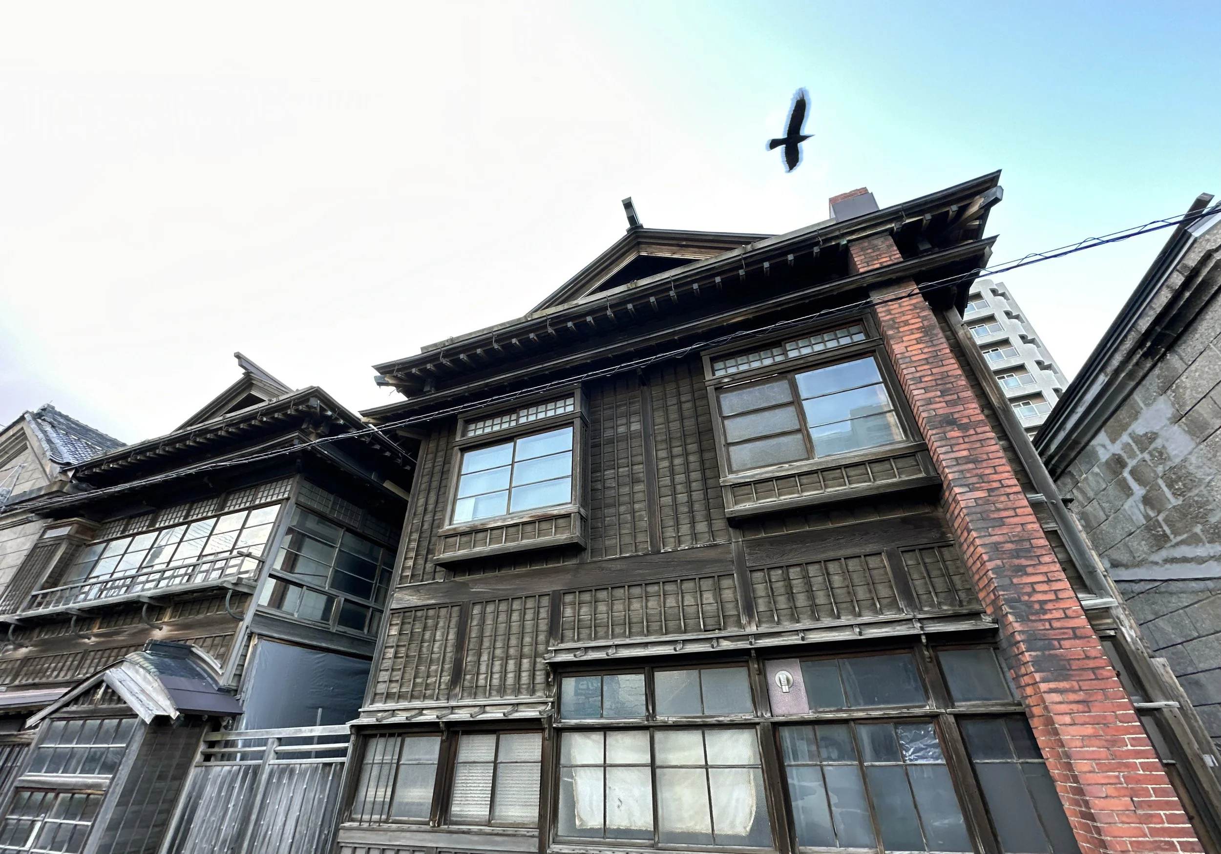 A weathered wooden traditional Japanese building with multiple paned windows, photographed from below, with a bird flying overhead against a pale sky