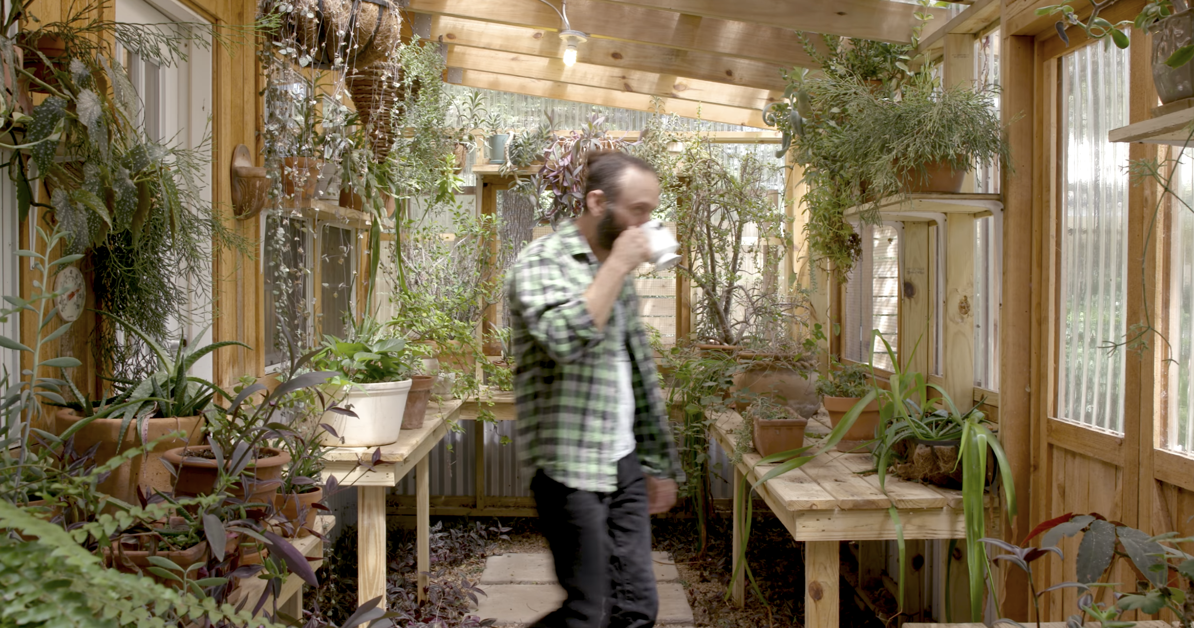 Video thumbnail for 'A Week in the Life of Ian Sanborn,' showing a man signing alone in a plant-filled greenhouse