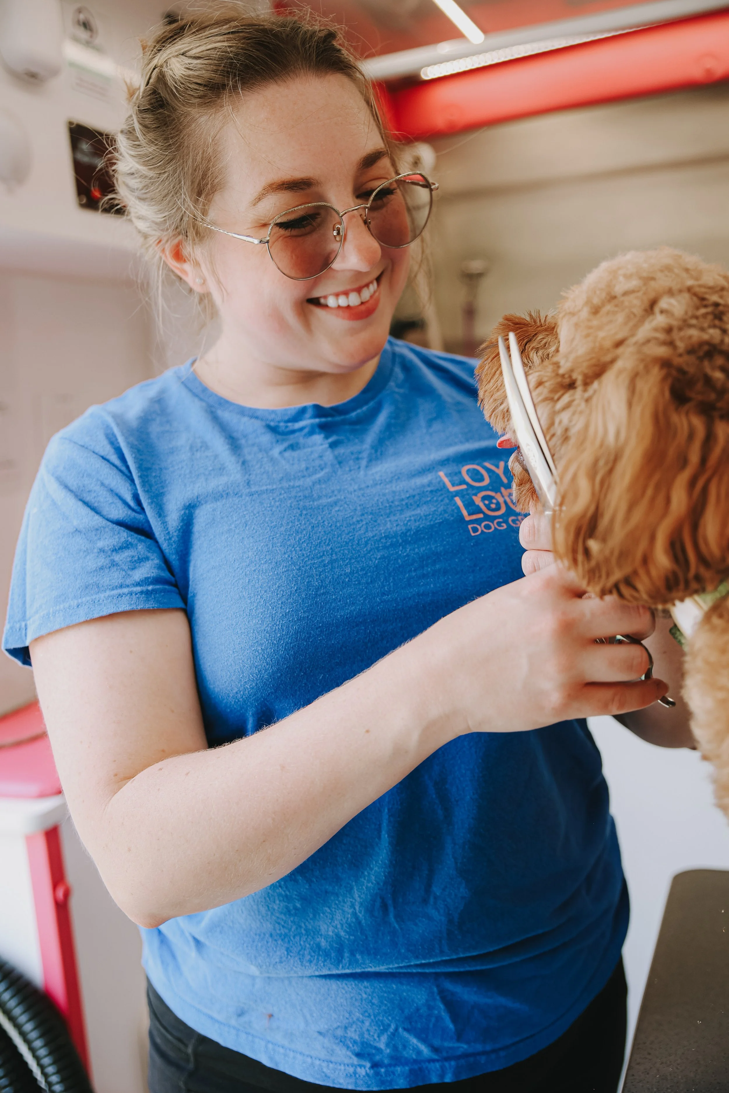 A woman with blonde hair wearing a blue t-shirt with a dog grooming logo, holding and grooming a brown dog with a brush in a pet grooming salon.