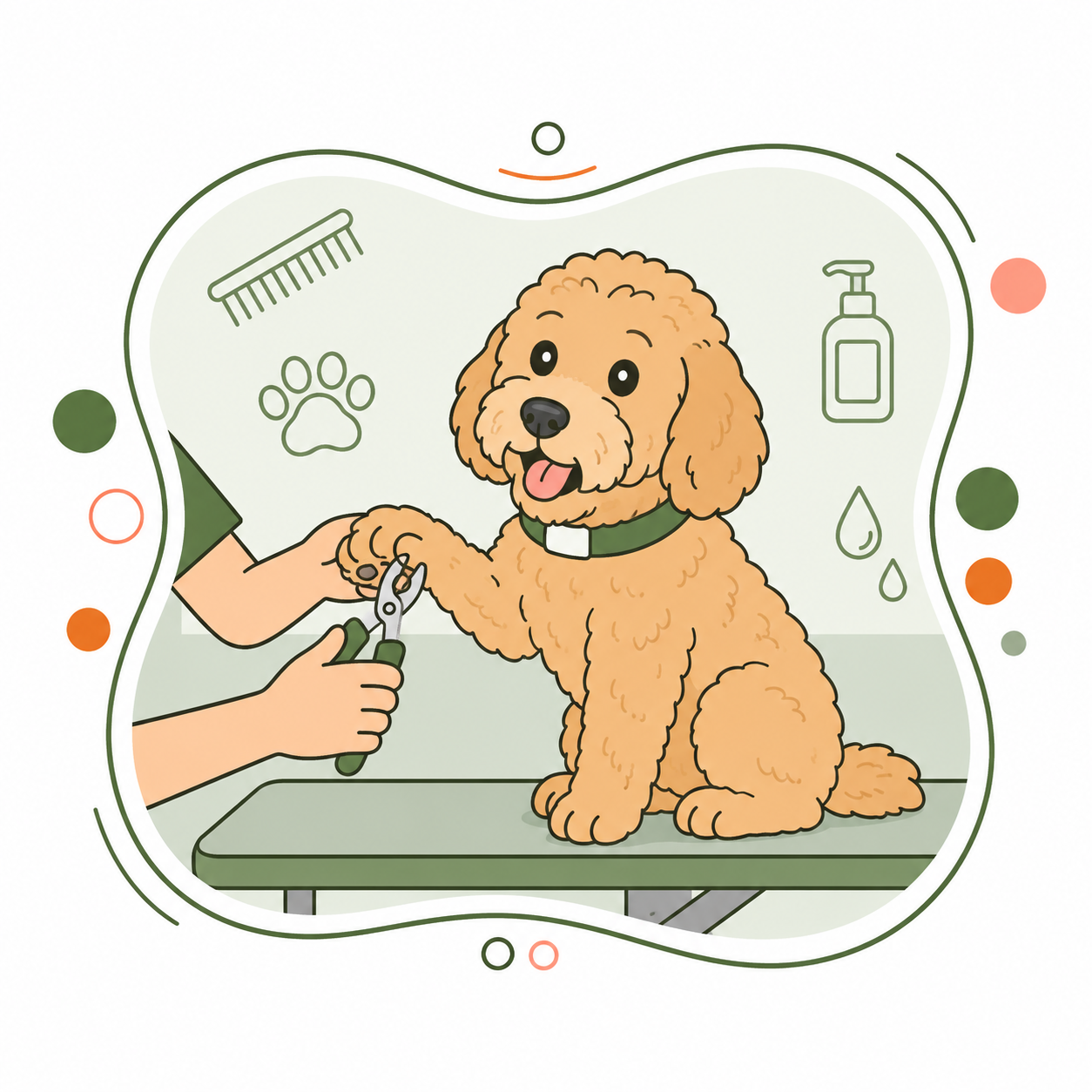 A cartoon illustration of a dog at a grooming station, sitting on a table, getting its paw trimmed by a groomer. The dog has a happy expression, and grooming tools, a paw print, a comb, a bottle of shampoo, and water droplets are visible in the background.