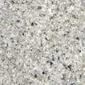 SGE298 Boreal