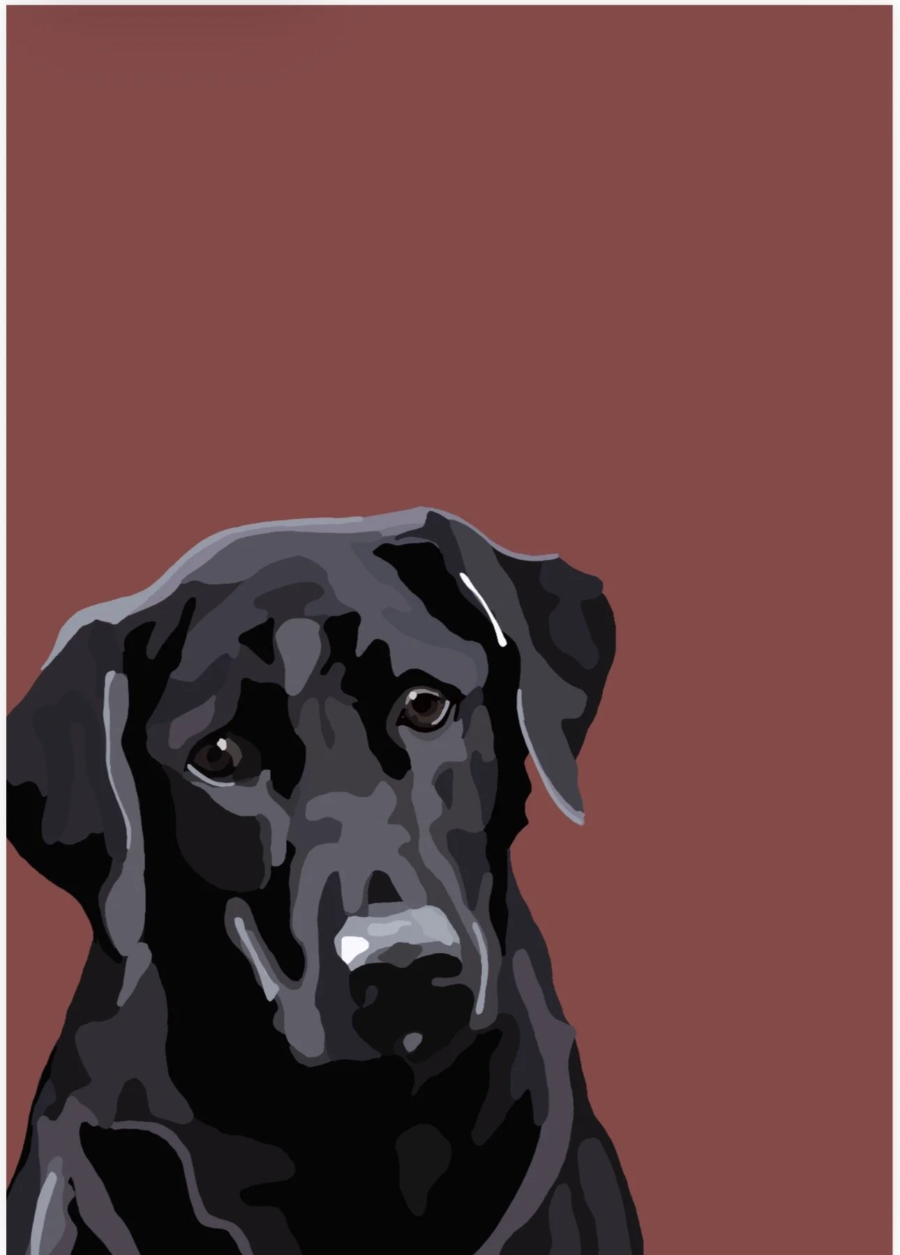 Black Labrador