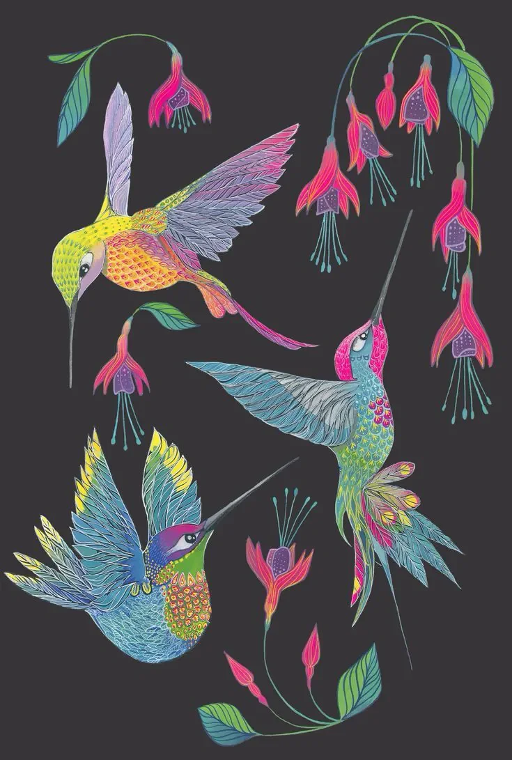 Colorful illustration of three hummingbirds flying among pink and purple bell-shaped flowers on a black background.