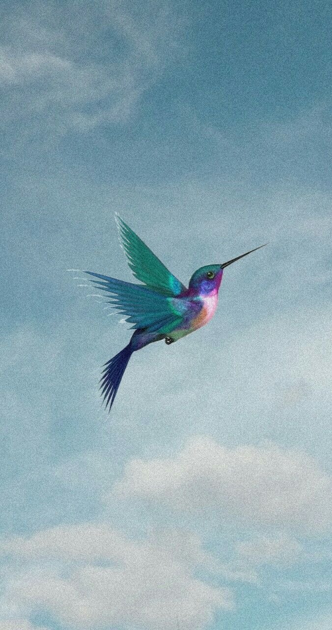 Colorful digital illustration of a hummingbird with iridescent green, purple, and pink feathers, flying against a cloudy sky.
